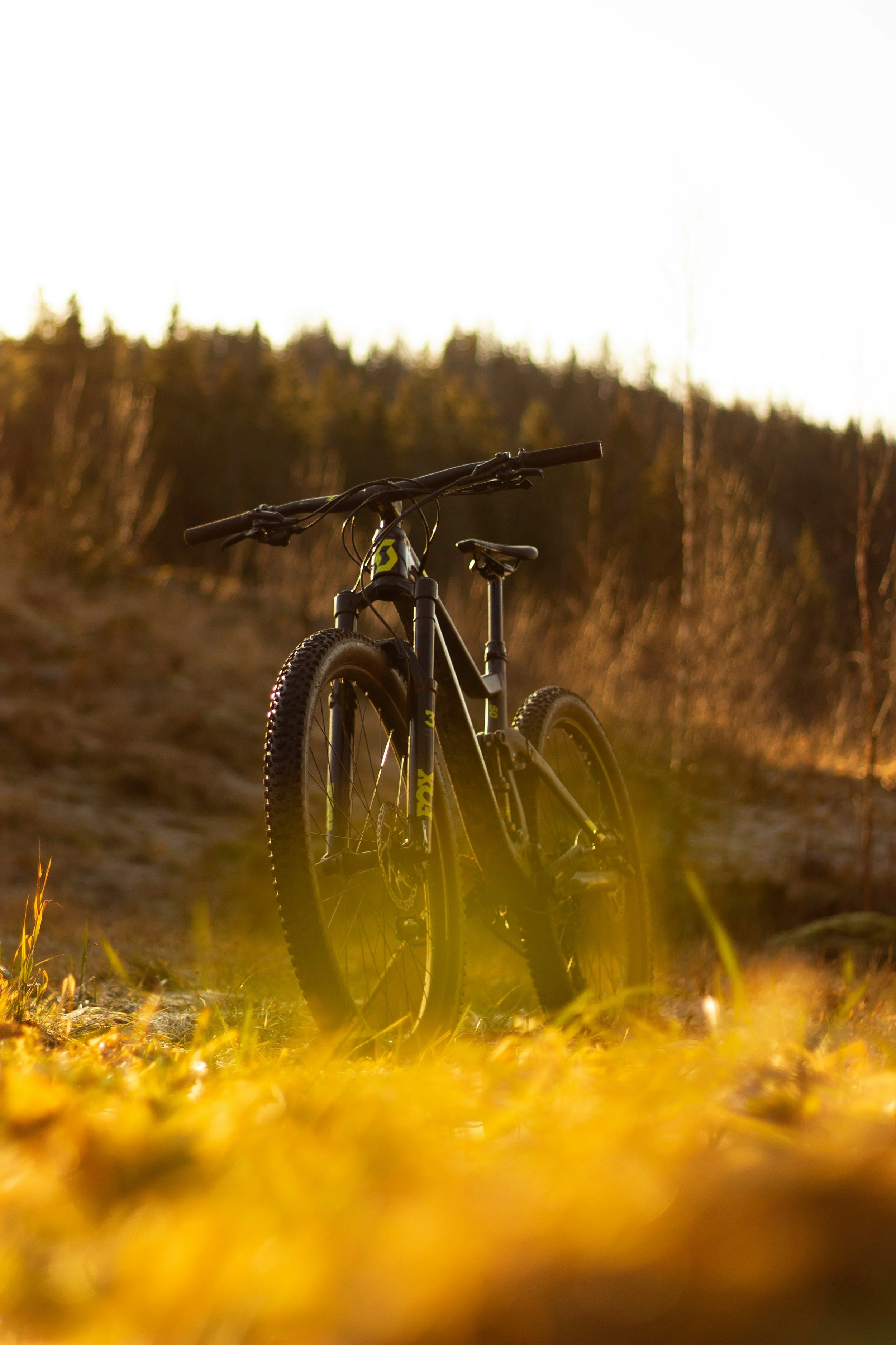Bike Rental
