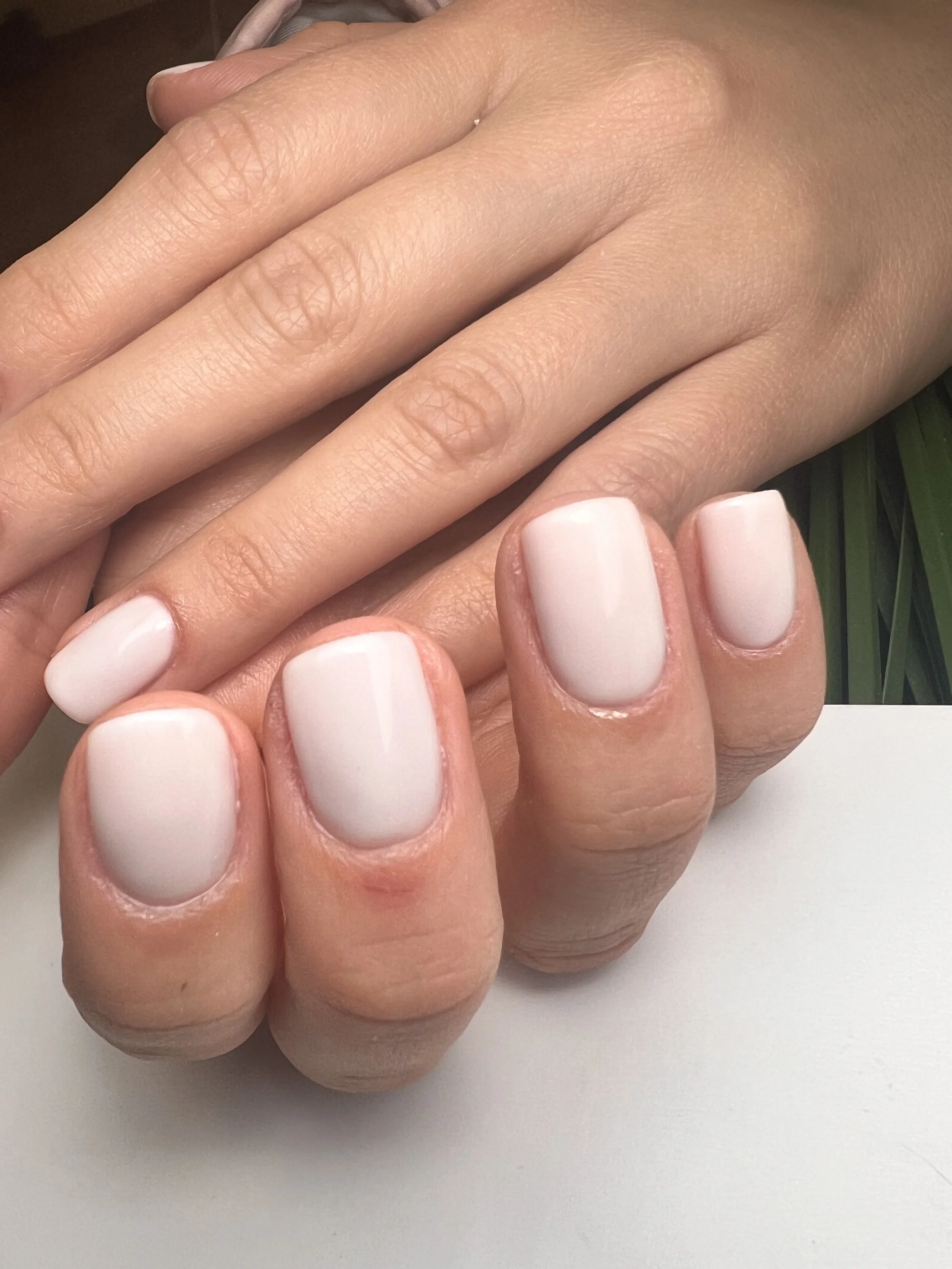 Close-up of a hand with neatly manicured nails painted white, resting on a surface, with some green foliage in the background.