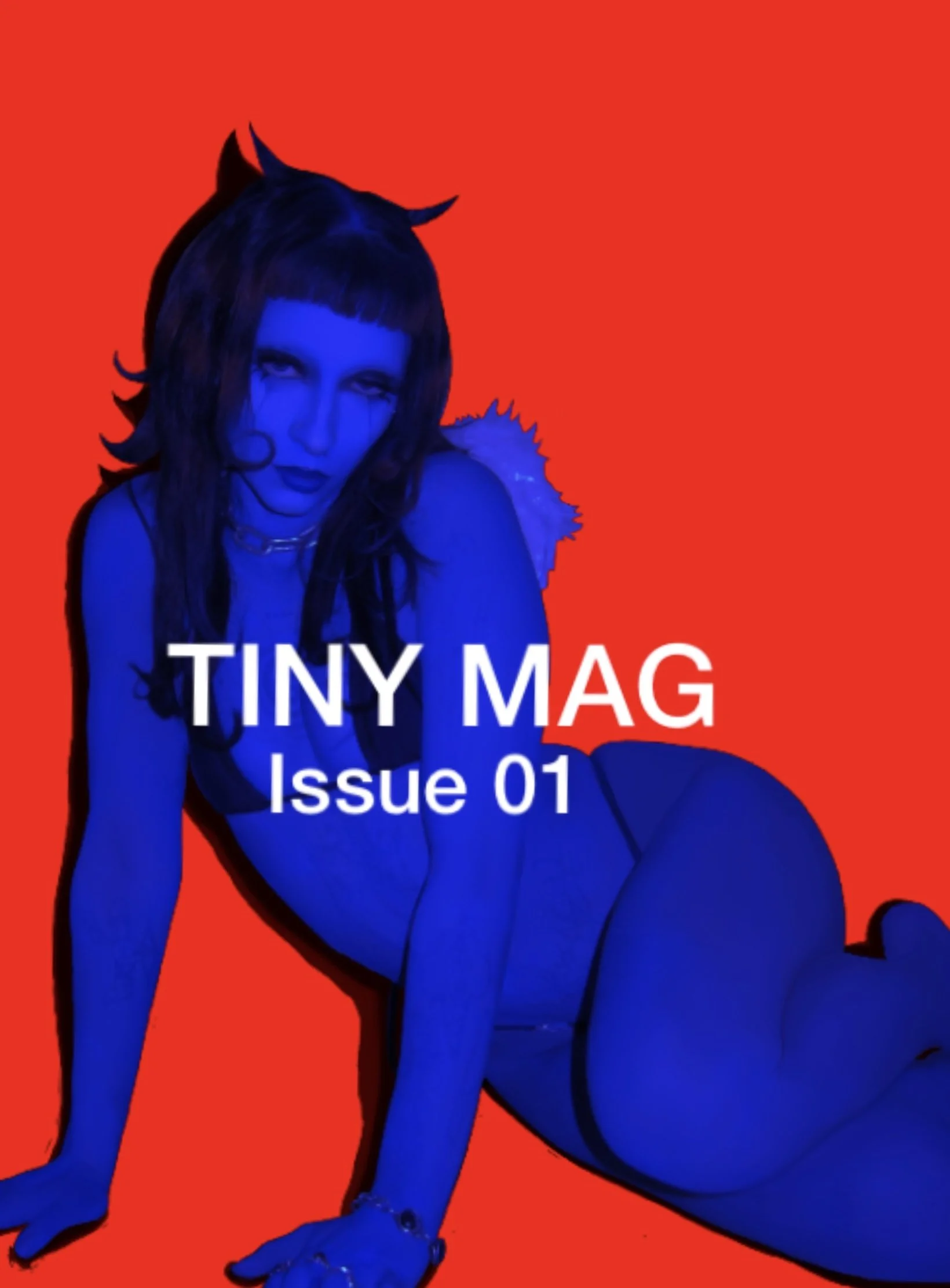 Tiny Mag blind bag