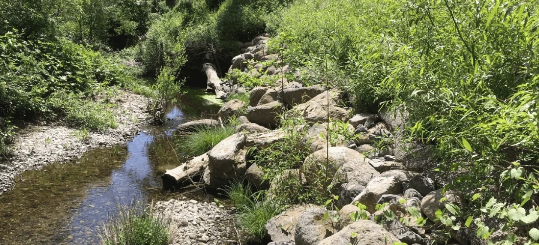 A small, rocky stream flowing through lush green vegetation on both sides in a forest.