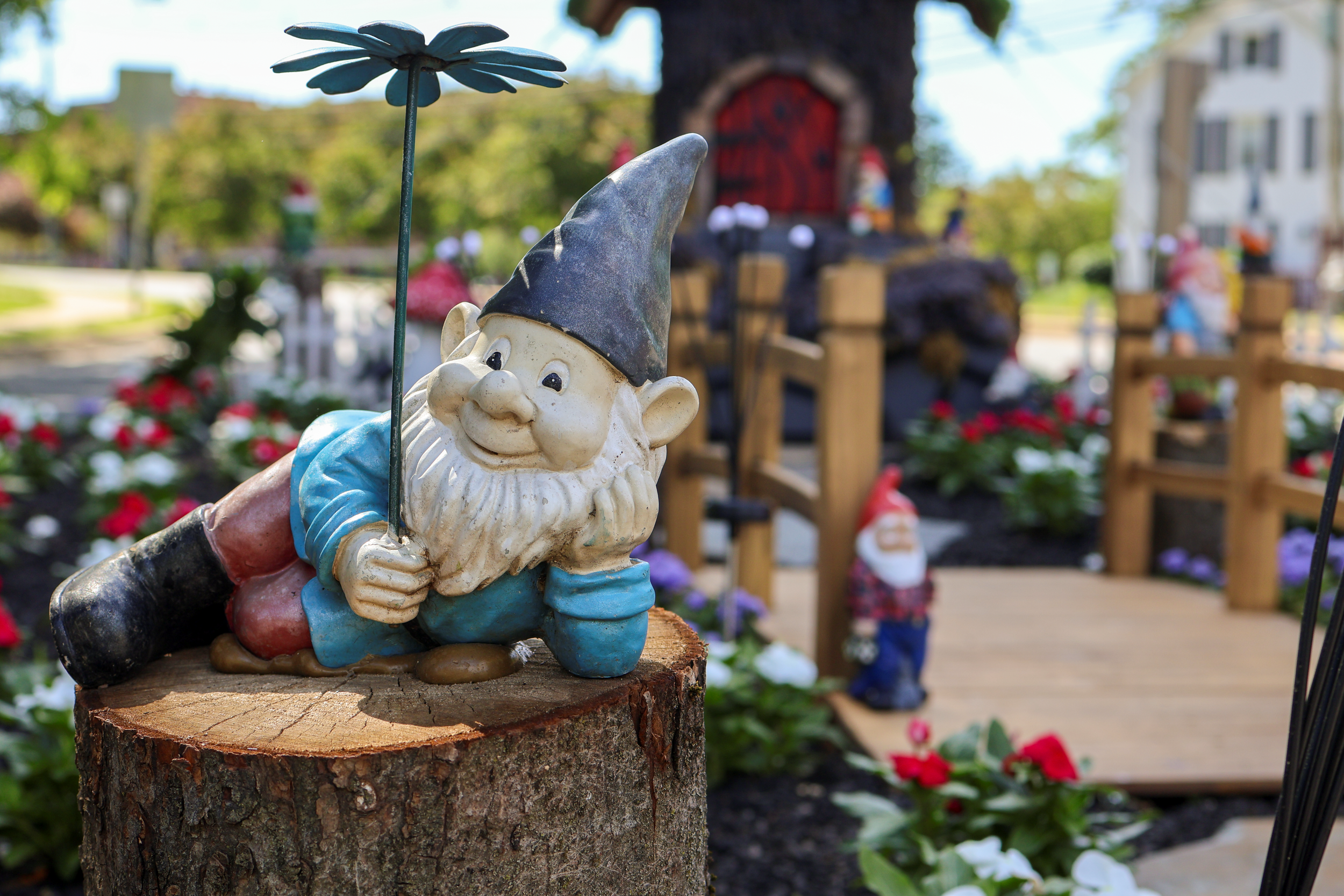 Denville Gnome Village
Canon R10  + RF 35mm

5.31.2026