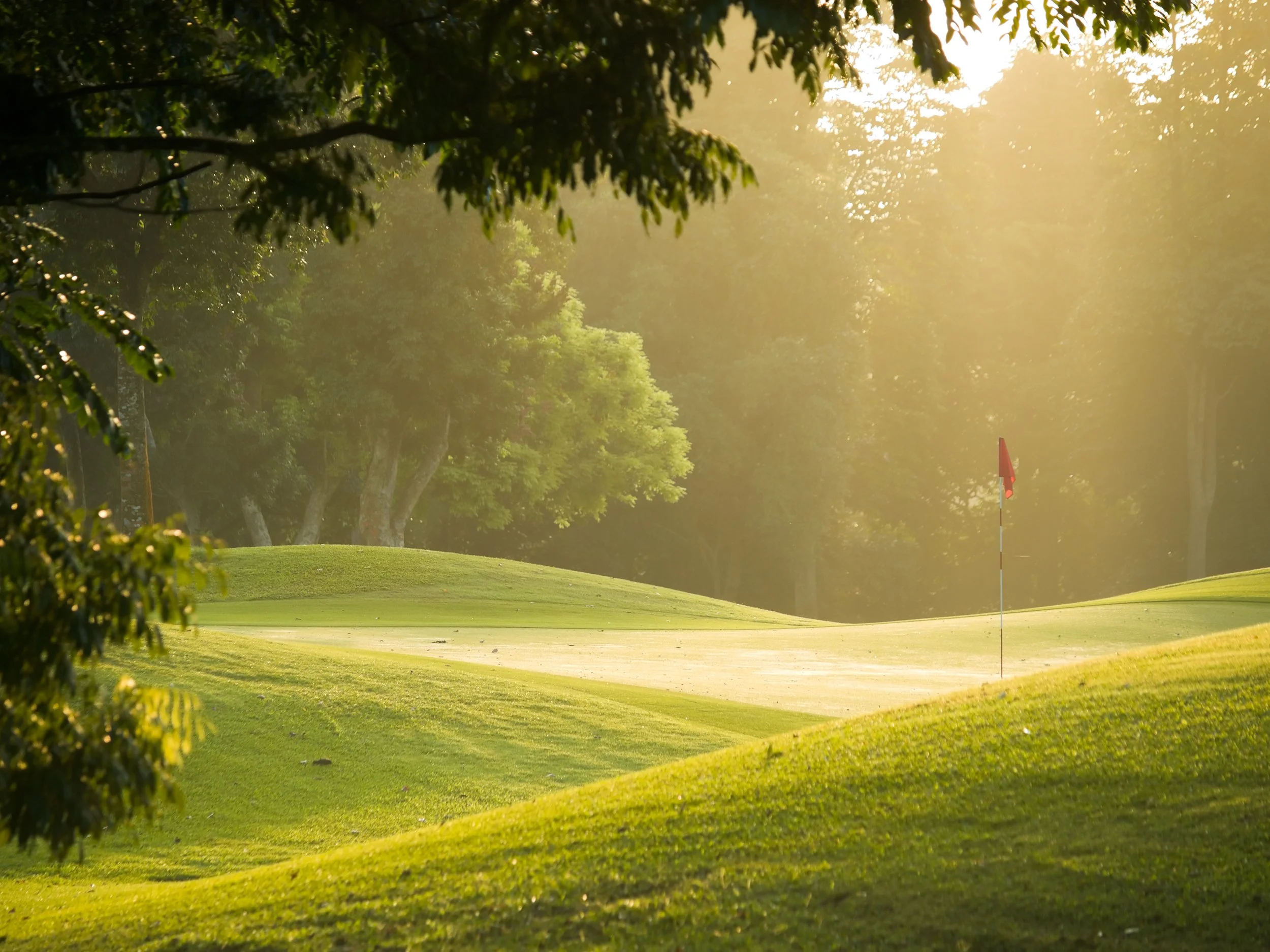 A golf course with a green, a flagstick, and trees on a misty morning with sunlight filtering through the branches.