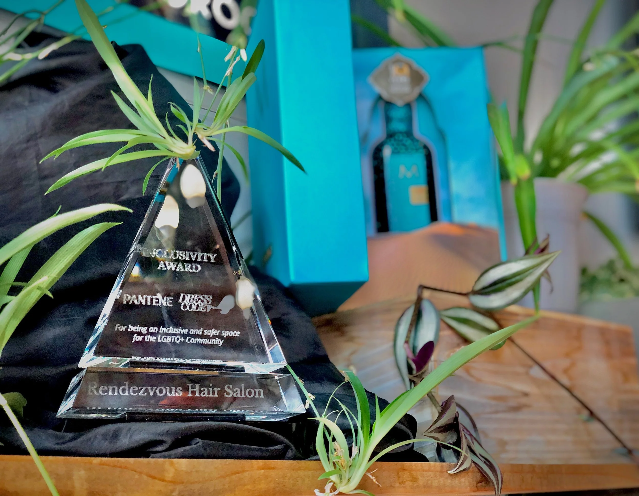 A transparent award trophy with engraved text, placed among green plants on a wooden surface, with a blue box and blurred background.