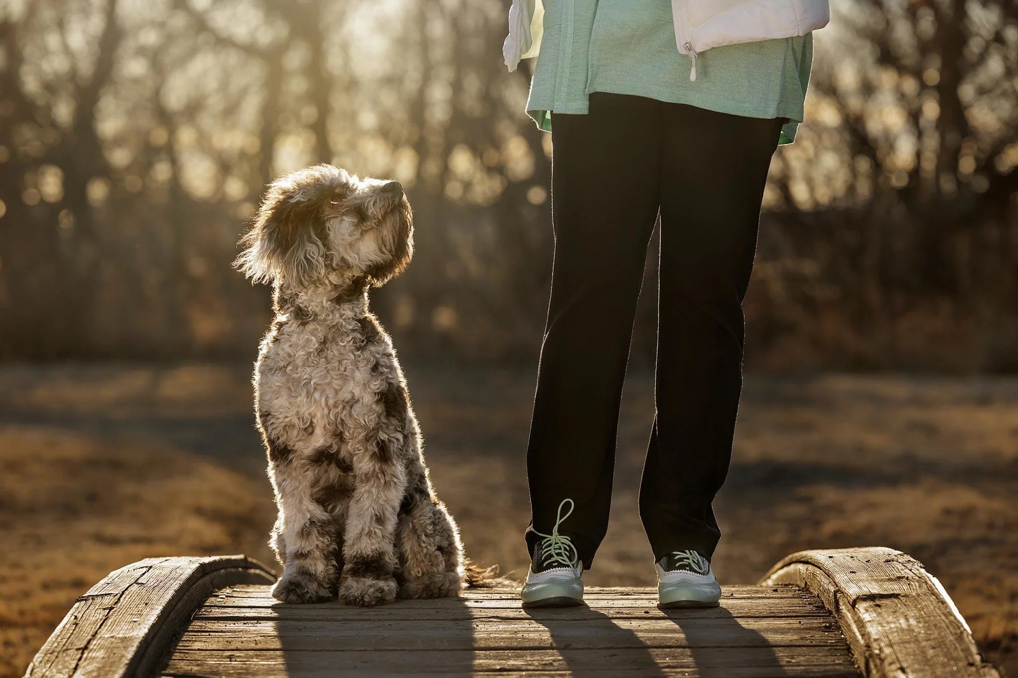 A person standing on a wooden bridge outdoors with a fluffy dog sitting next to them. The person is wearing black pants, sneakers, and a light jacket, and the dog is looking up at the person. The background is a blurred wooded area with sunlight filtering through the trees.