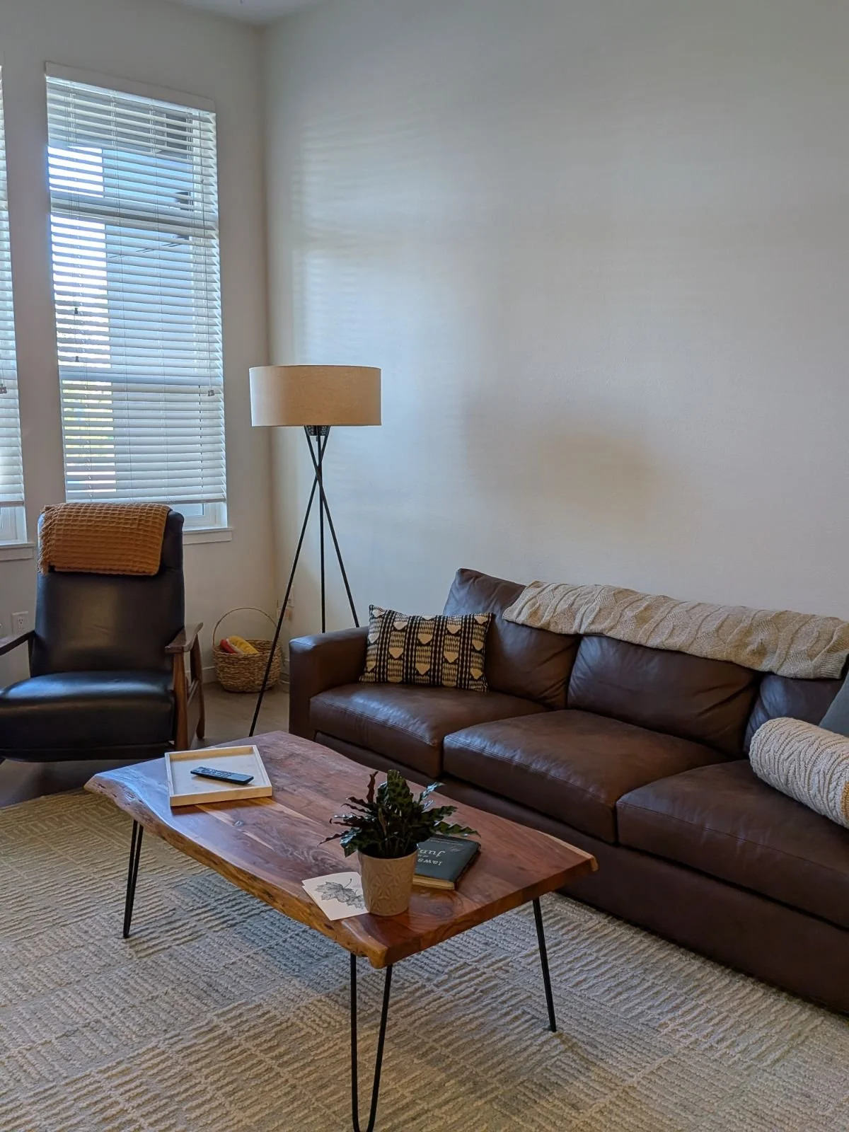 AFTER…Ahhh. Now it's starting to feel like home. Pillows, lamps, plants and a rug immediately warm up big open spaces. Now all that's missing is art.