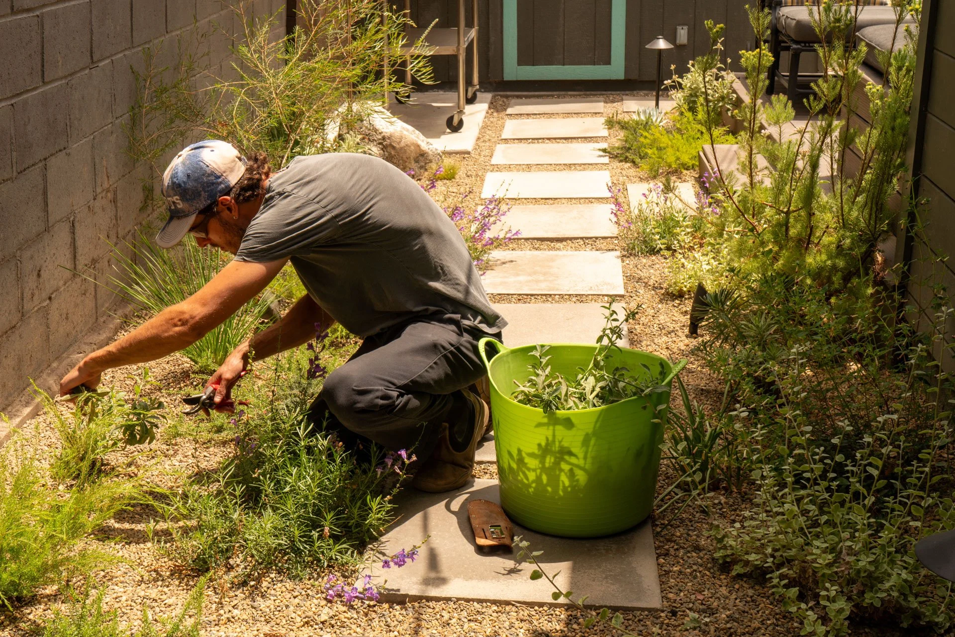 A man wearing a cap and gray t-shirt kneels in a garden, tending to plants. There is a bright green bucket filled with garden tools and plant cuttings nearby. Paved stepping stones lead to a door, with cushioned outdoor furniture and decorative plants along the pathway.