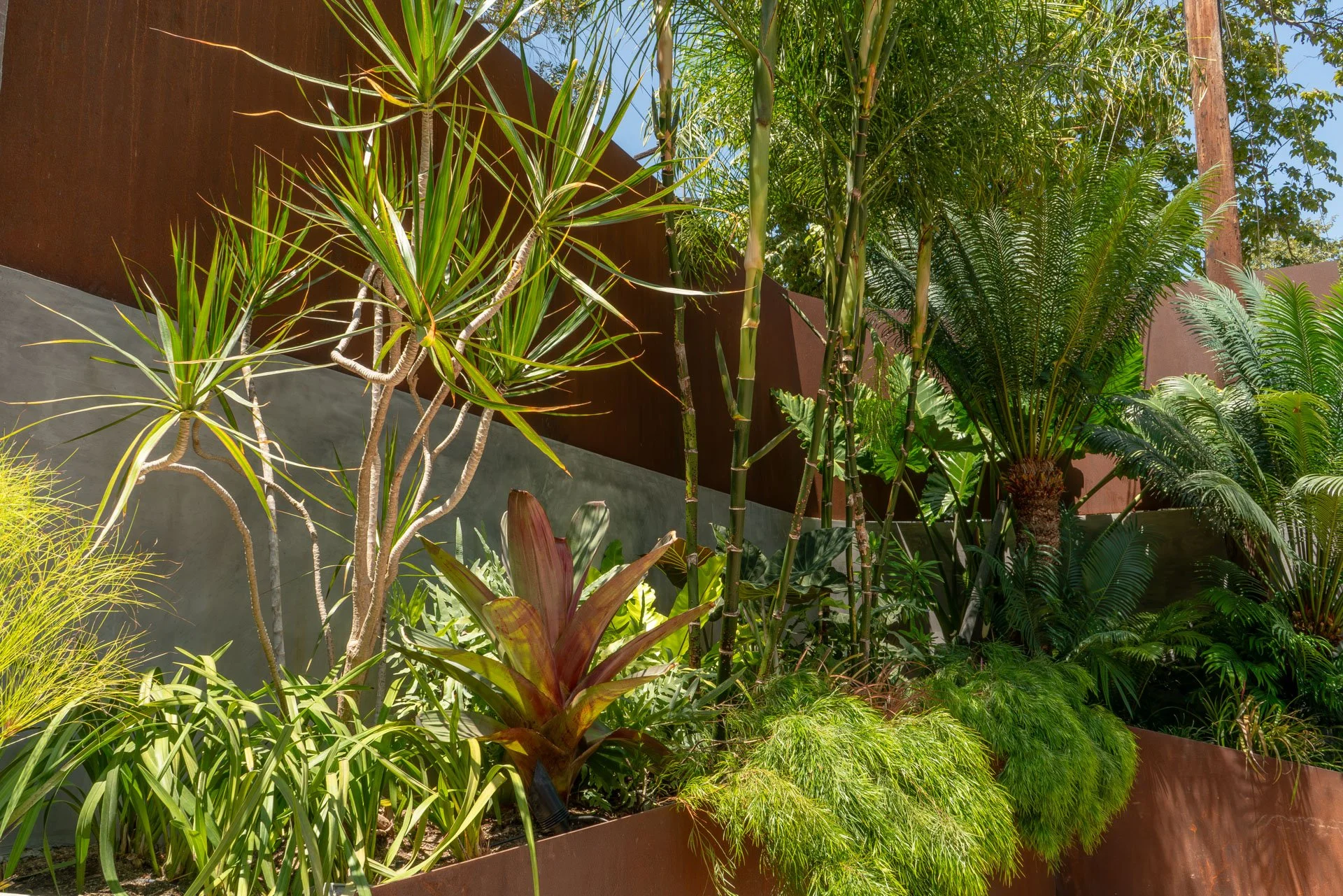 DSC04826.jpg