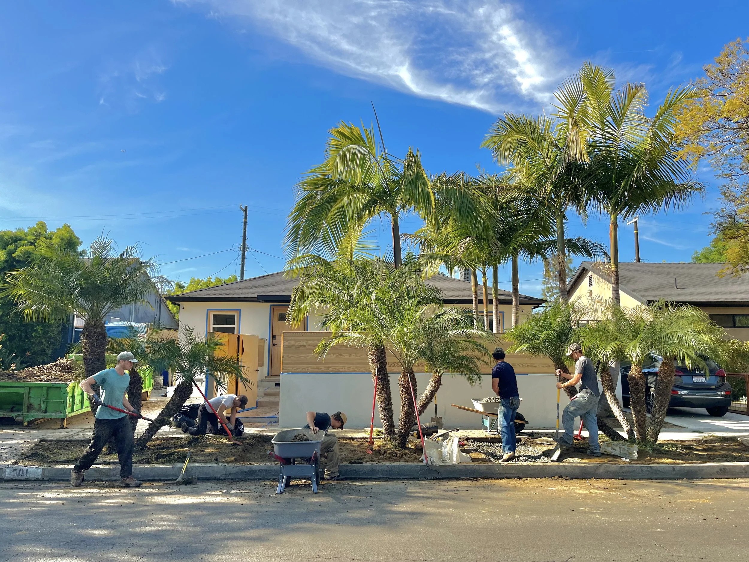People working on landscaping in front yard of suburban house with palm trees, blue sky, and some clouds.