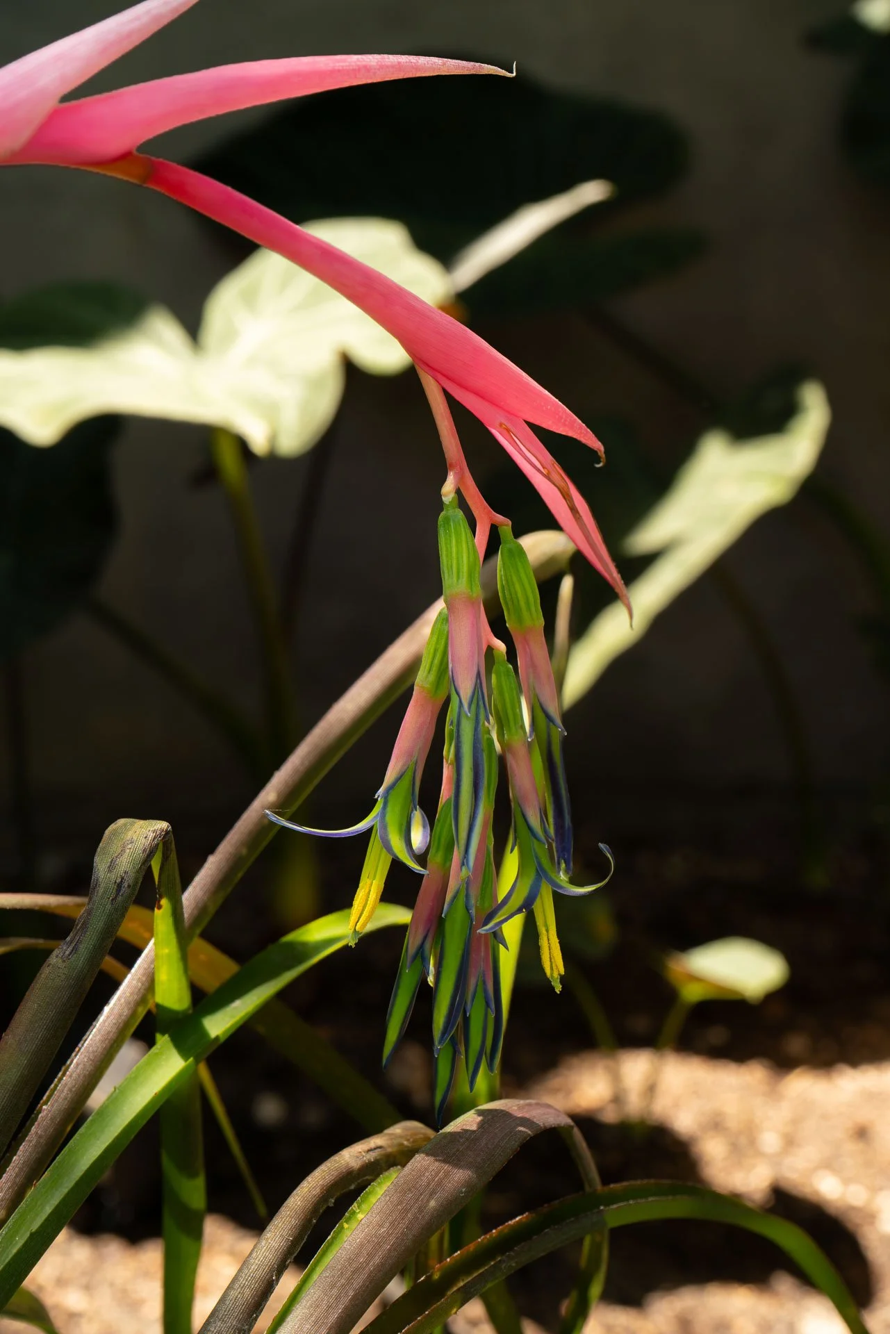 DSC04844.jpg