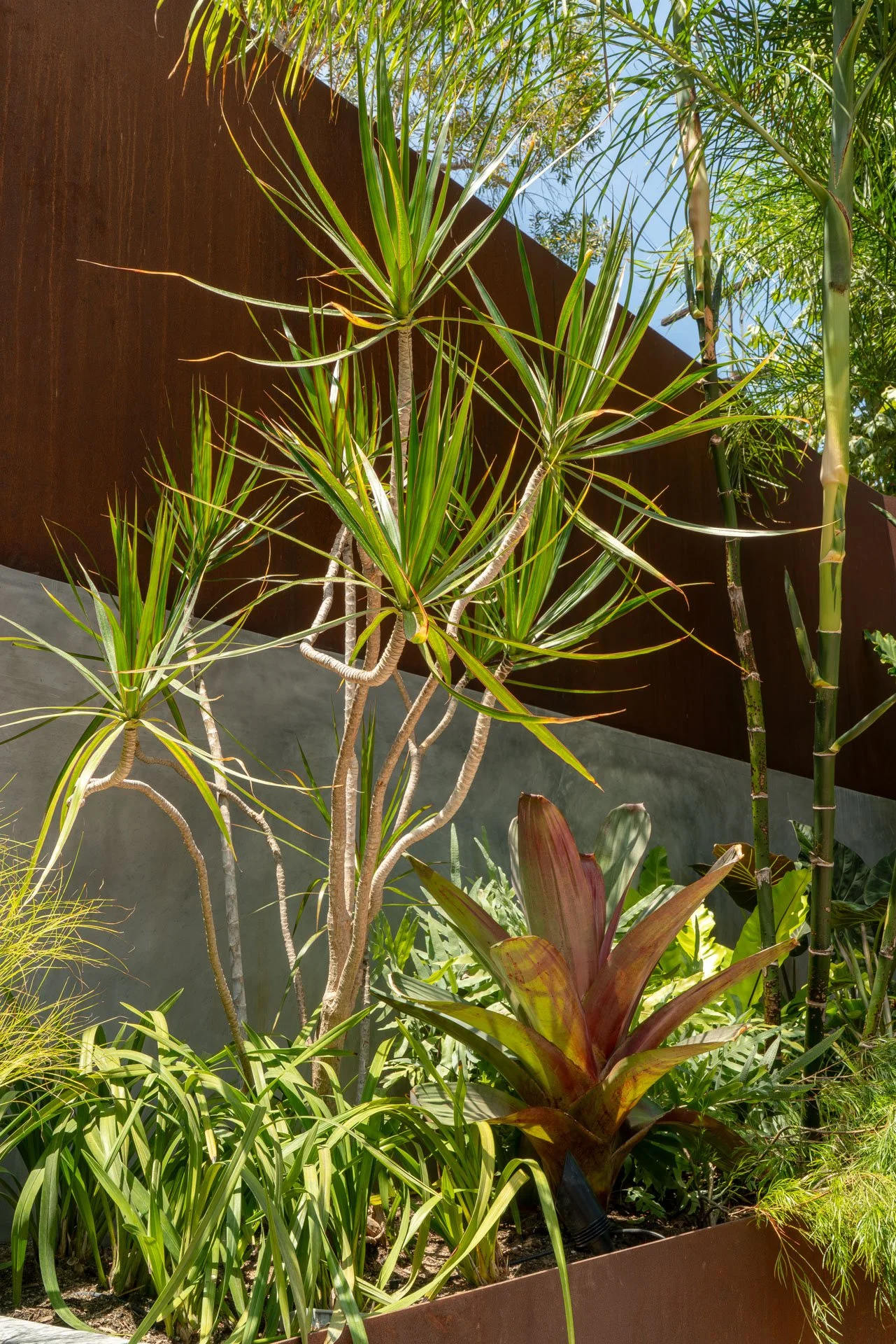 DSC04822.jpg