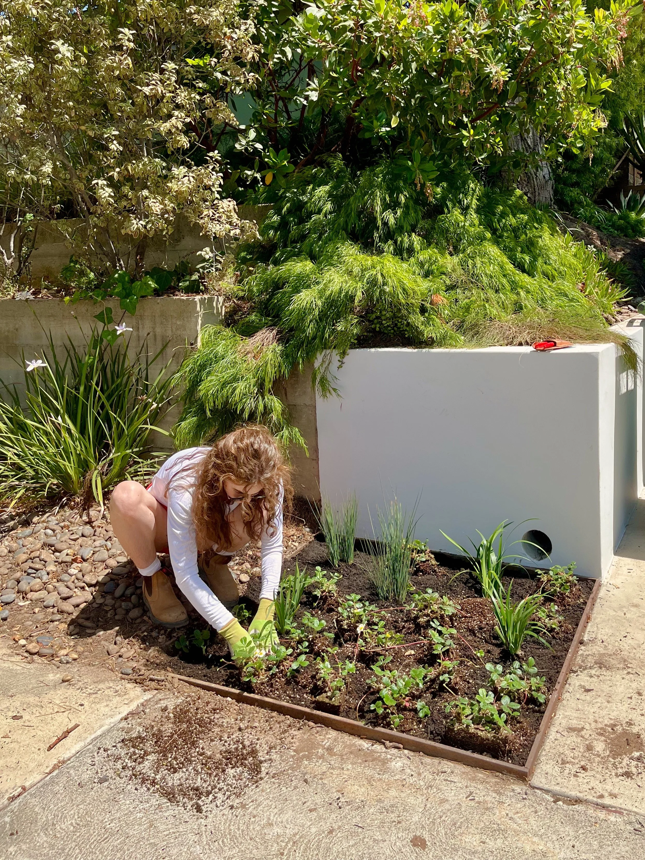 A woman with curly hair wearing a white long-sleeve shirt, yellow gardening gloves, and brown boots crouches down planting or tending a row of small green plants in a garden bed. The garden is surrounded by various green plants and shrubs, with a concrete patio and a white wall in the background.