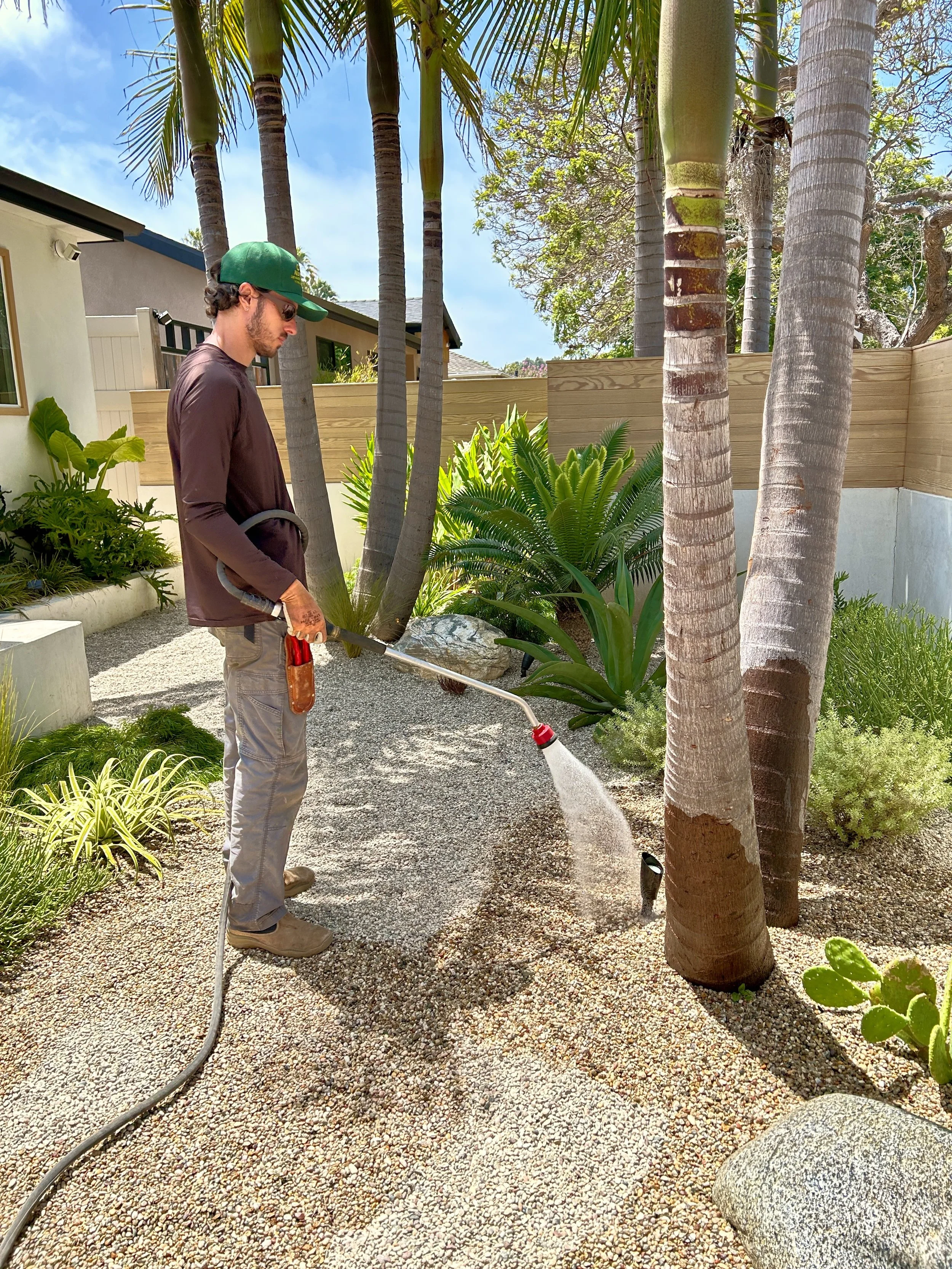 A man wearing sunglasses, a green cap, and beige pants is watering plants in a backyard garden with a hose. The garden has various green plants, palm trees, and a wooden fence. The background shows a house with a light-colored exterior and a clear blue sky.