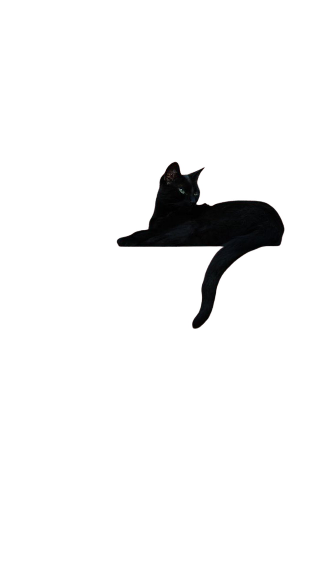 A black cat lying down on a dark background, looking toward the camera with green eyes.