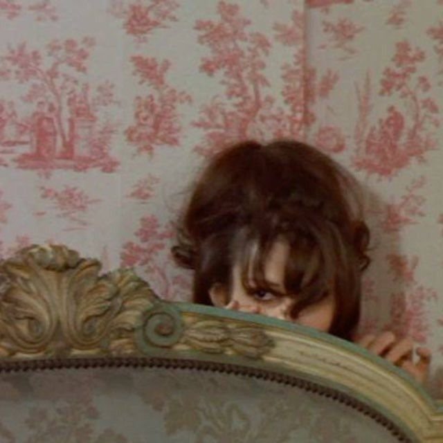 A woman with dark hair peeking over the edge of a vintage-style mirror with ornate gold detailing, against a pink toile wallpaper background.