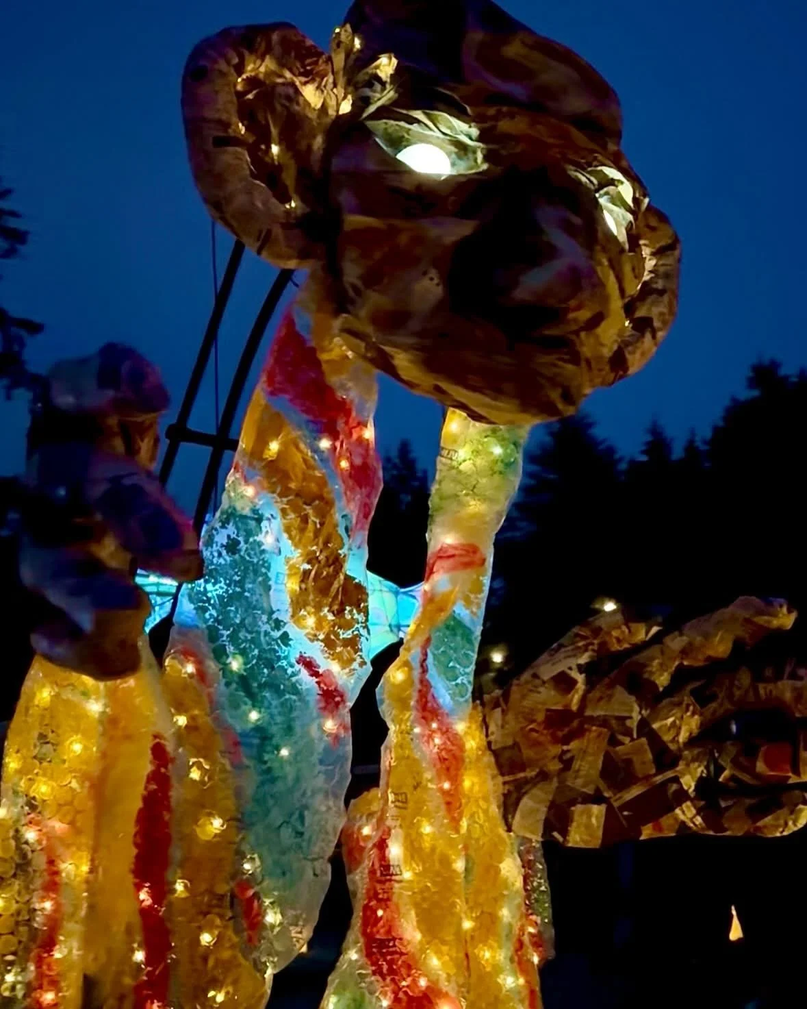 image3.jpg