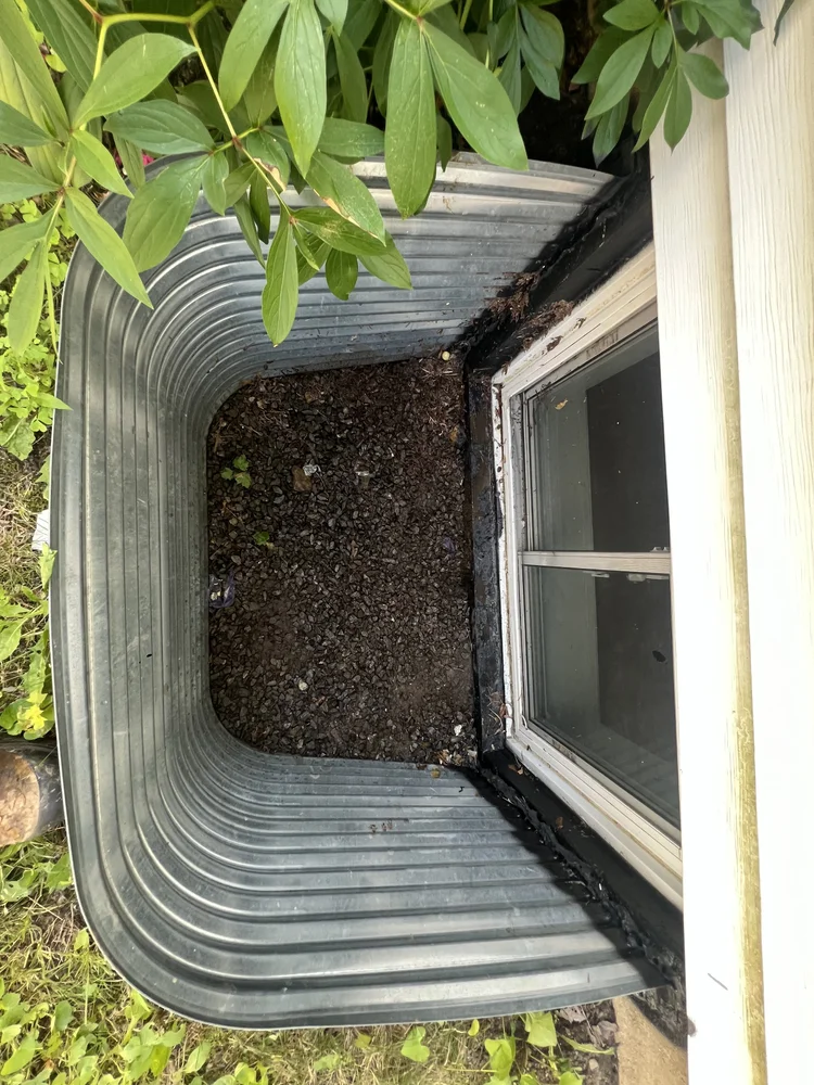 Clogged window well before repair