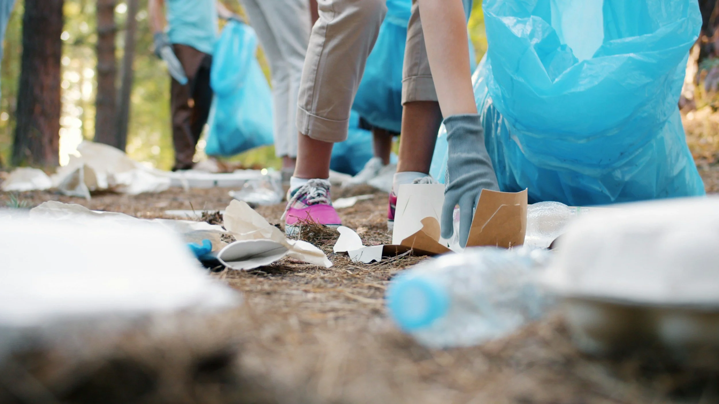Cook Park Cleanup