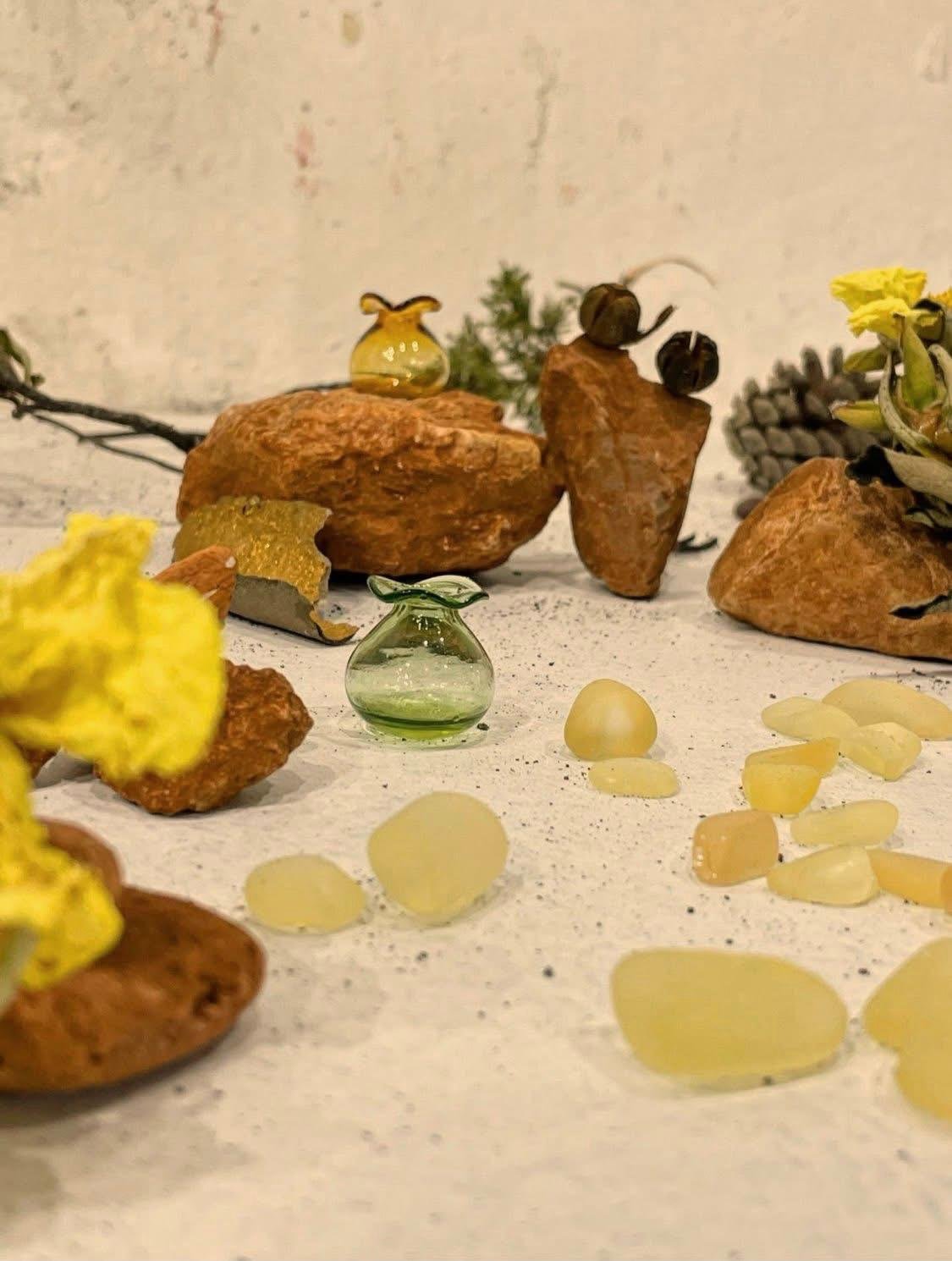 Rosa Almeida (Instagram: @atelierosaalmeida), A Scented Non-Site, A Natural Coastal Park, 2026