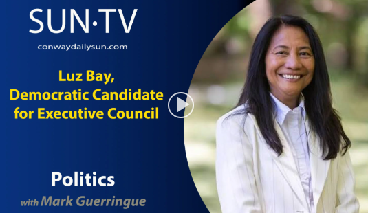 Luz Bay, Democratic Candidate for Executive Council