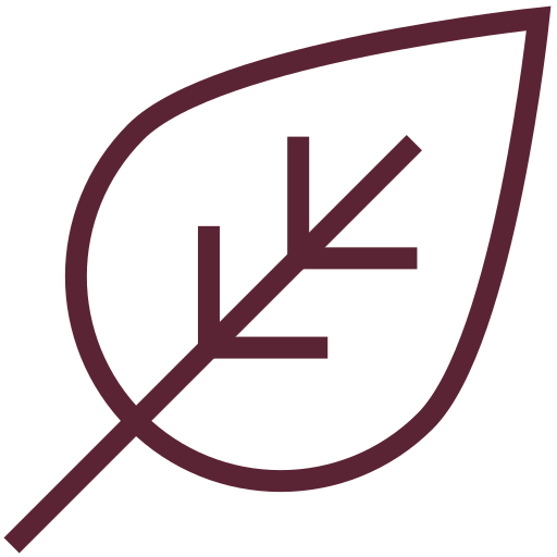 Illustration of a leaf outline with a simple vein structure inside.