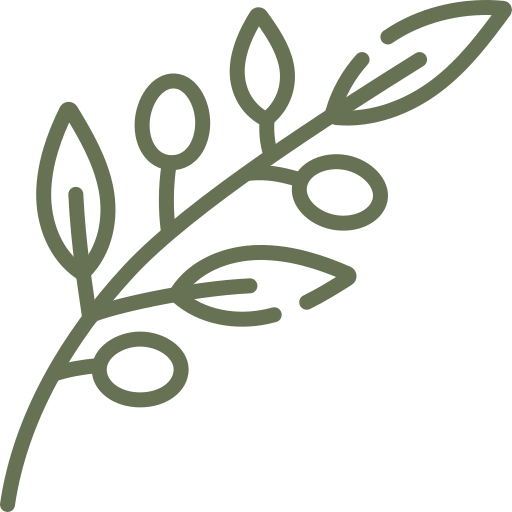 A simple line drawing of a leafy plant with oval-shaped berries or fruits.