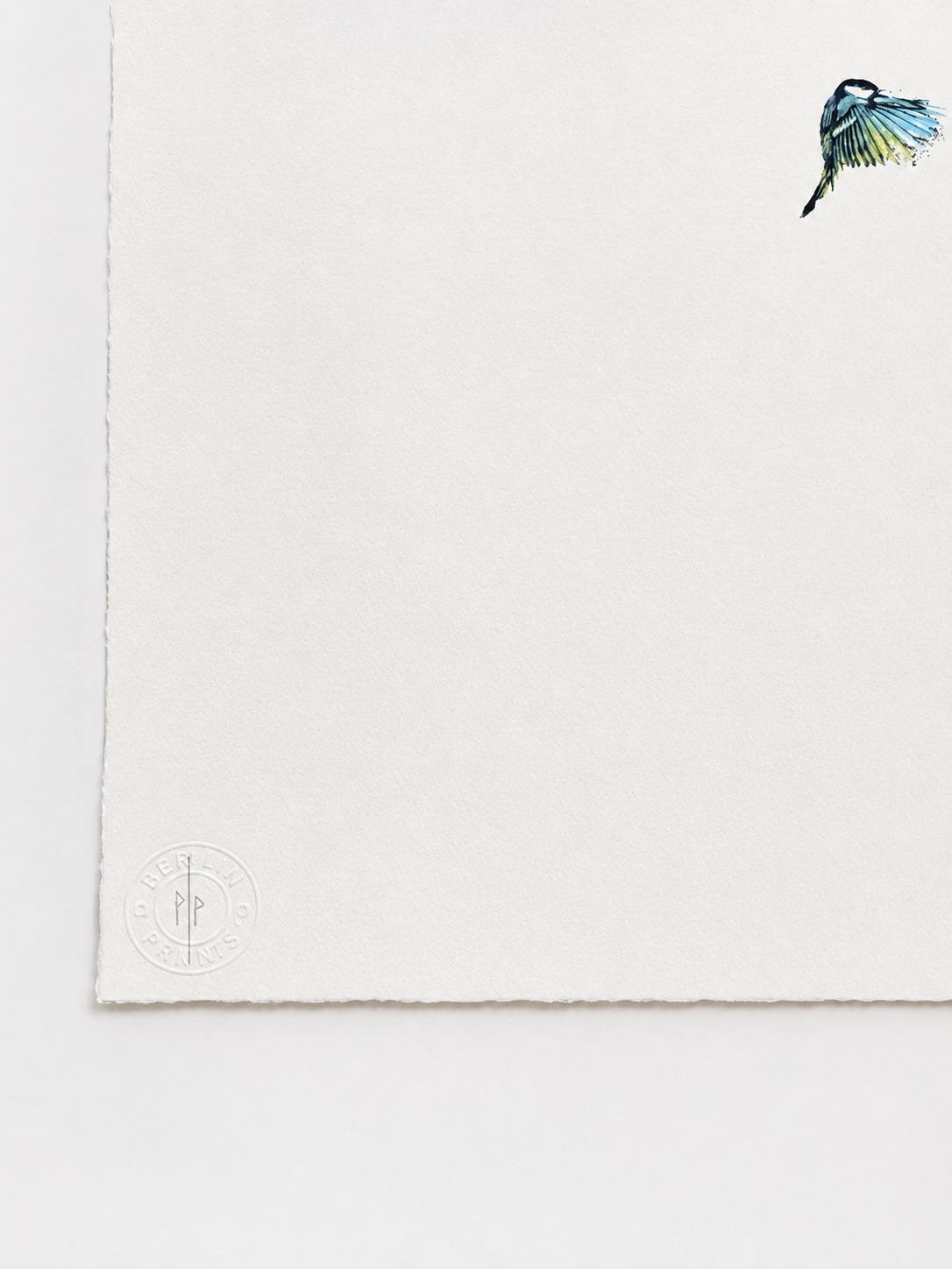 B30C2869-1991-4651-9C67-4133BEEA25D6.png