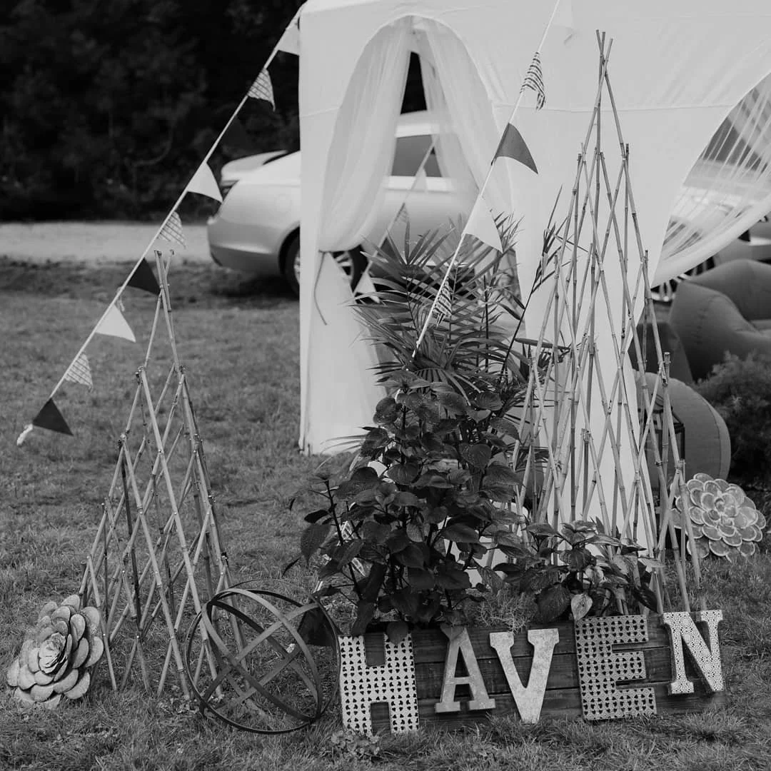 Decorative outdoor display with plants, bamboo structures, a sign spelling 'HAVE' in block letters, and small flags, set up on grassy area with cars in background.