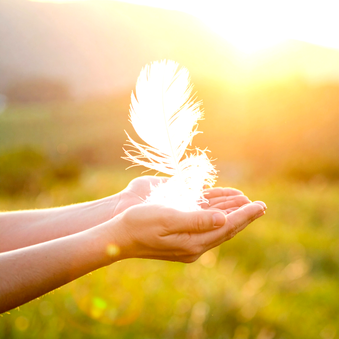 Connect to Nourishment