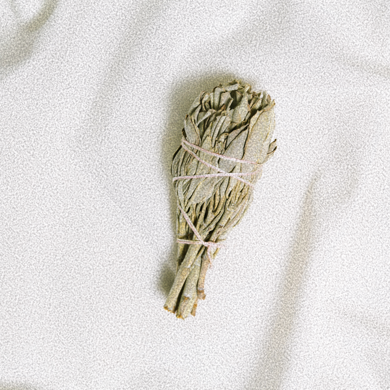 A bundle of dried sage tied together with pink string, placed on a light-colored surface.