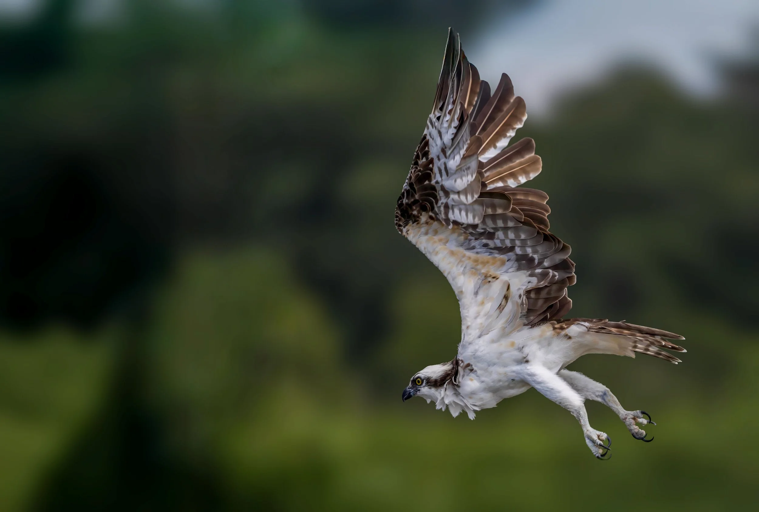 _R9A8136-Edit-Edit.jpg