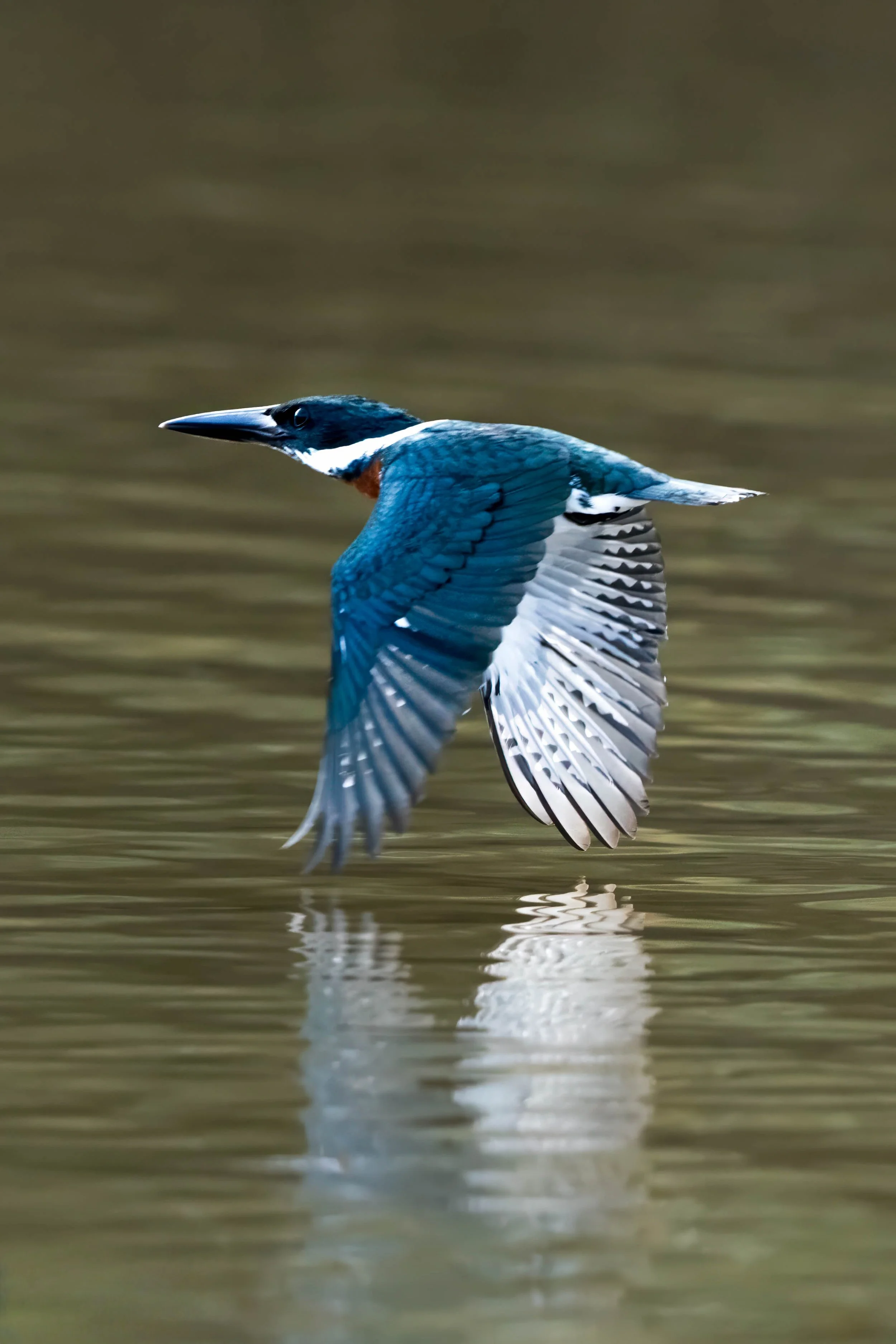 _R9A4204-Edit-2.jpg