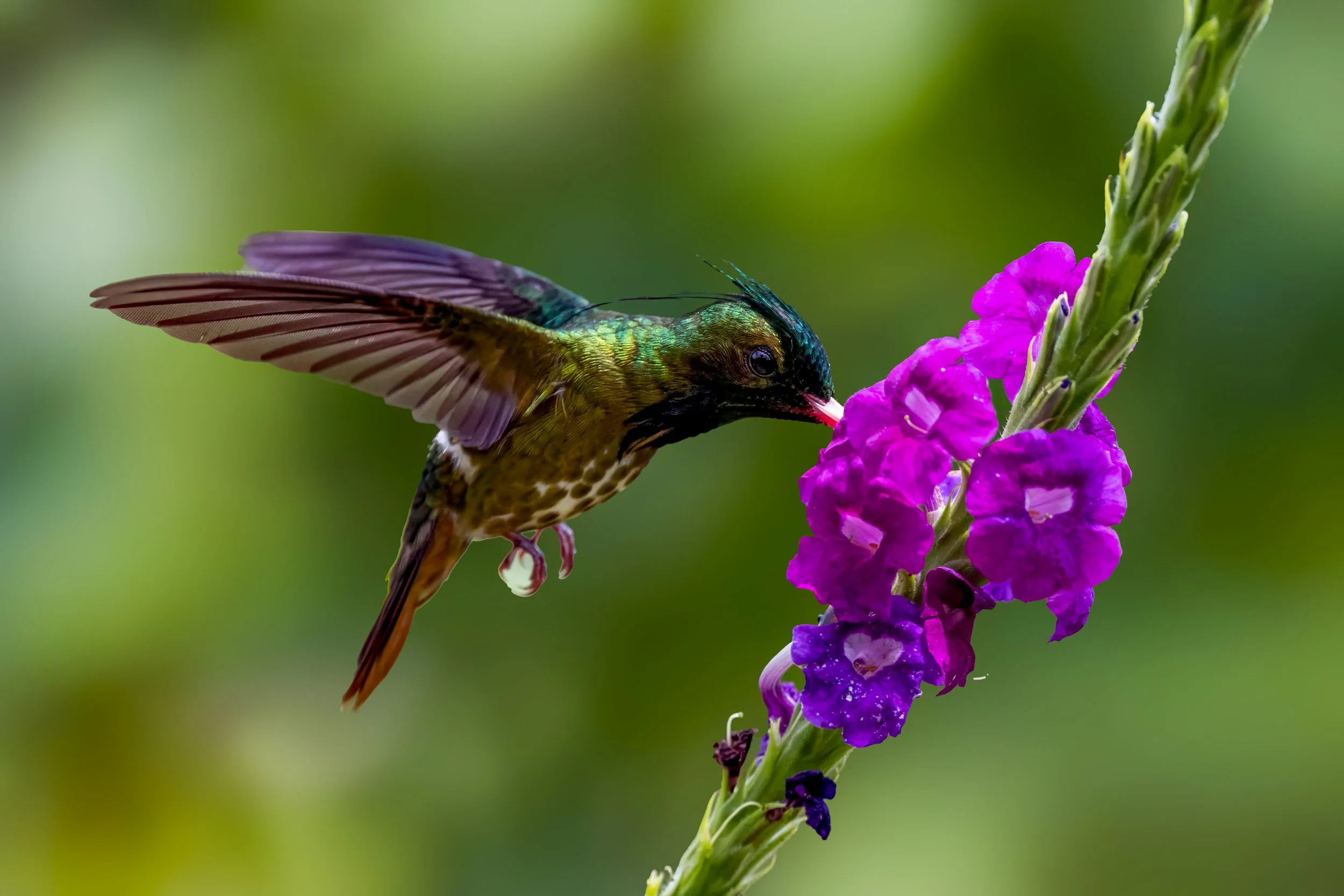 _R9A4133-Edit.jpg