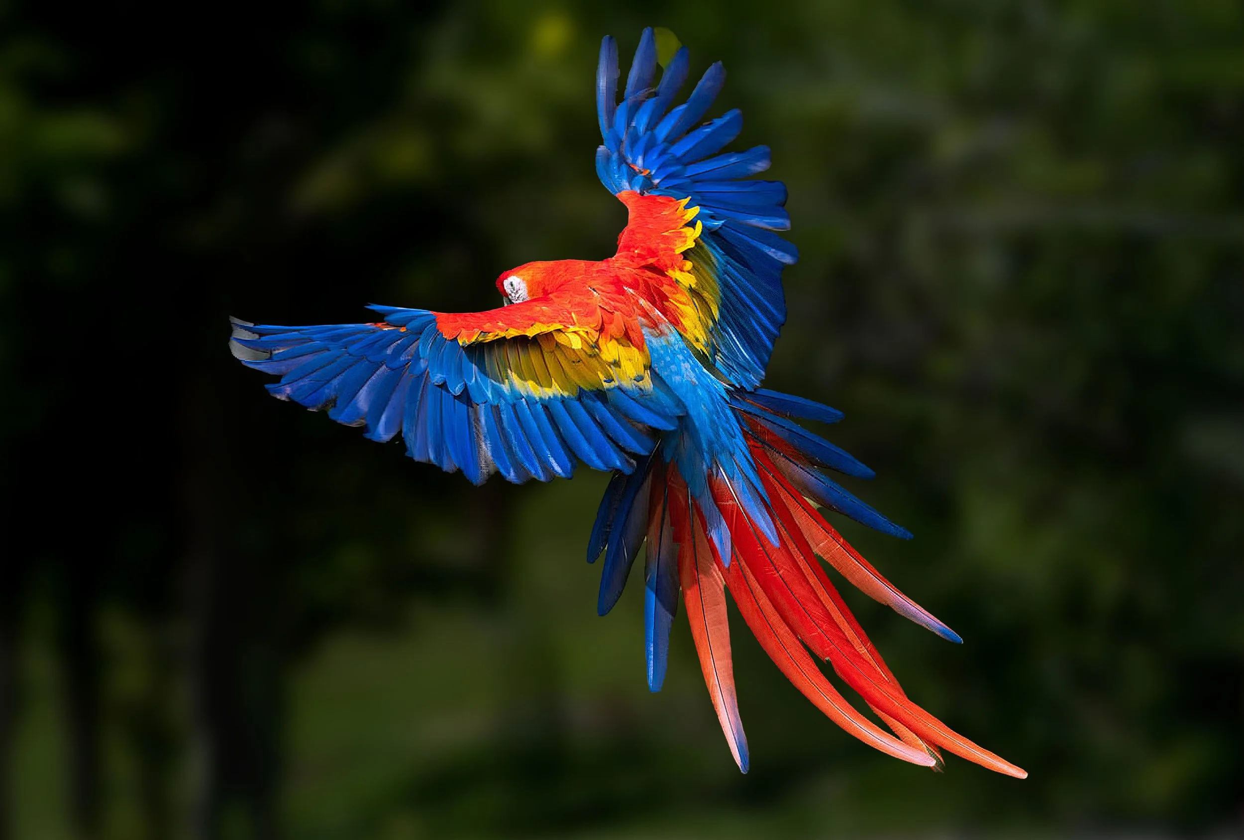 Photography Journey Exploring the Caribbean  Side  November 2027 9 Nights/ 10 Days