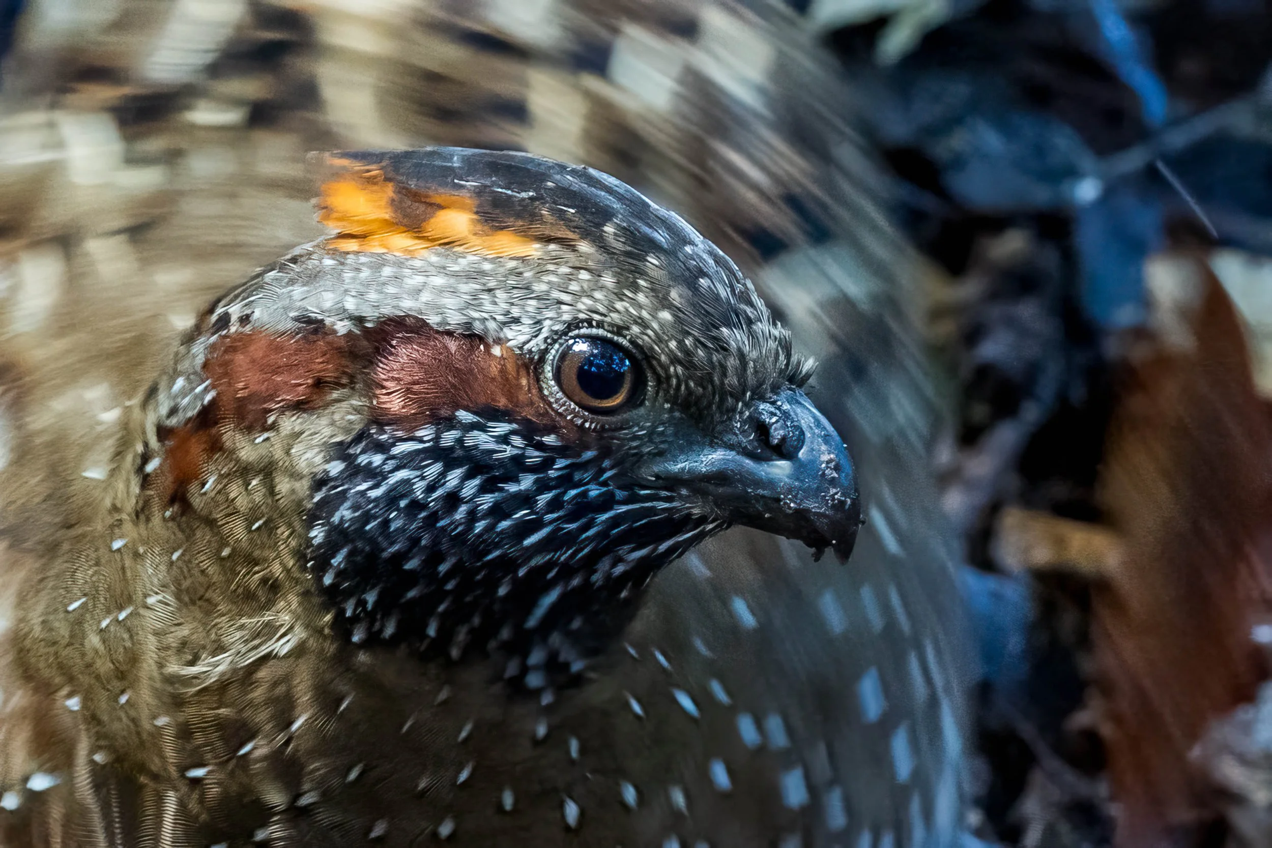 _R9A8390-Edit.jpg
