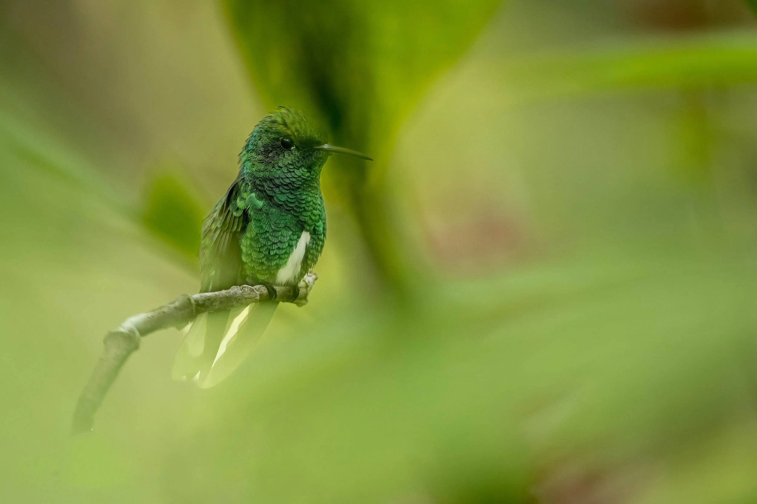 _R9A0864-Editar-topaz-sharpen.jpg