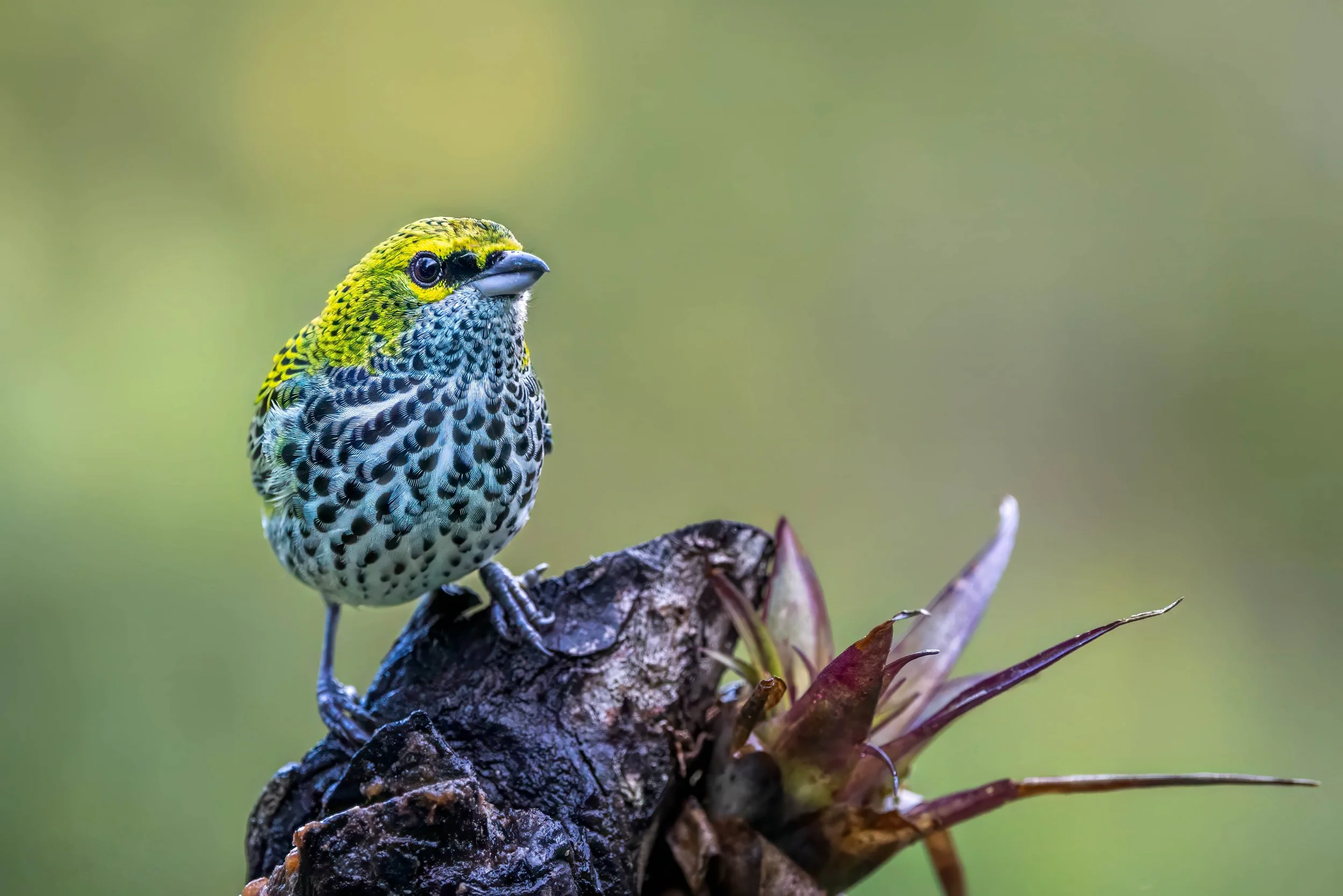 _R9A5685-Edit-Edit.jpg