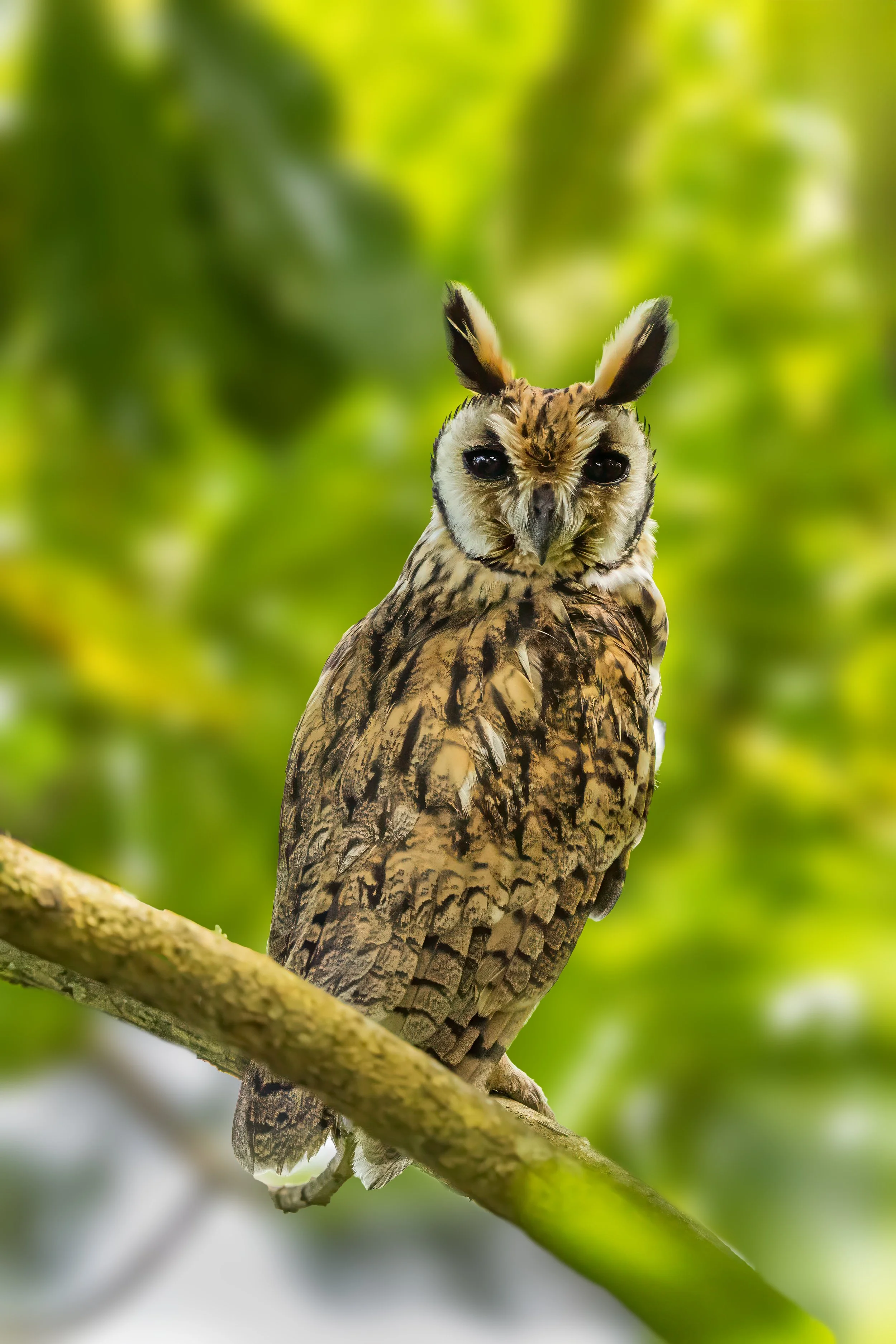 _R9A2383-Edit.jpg