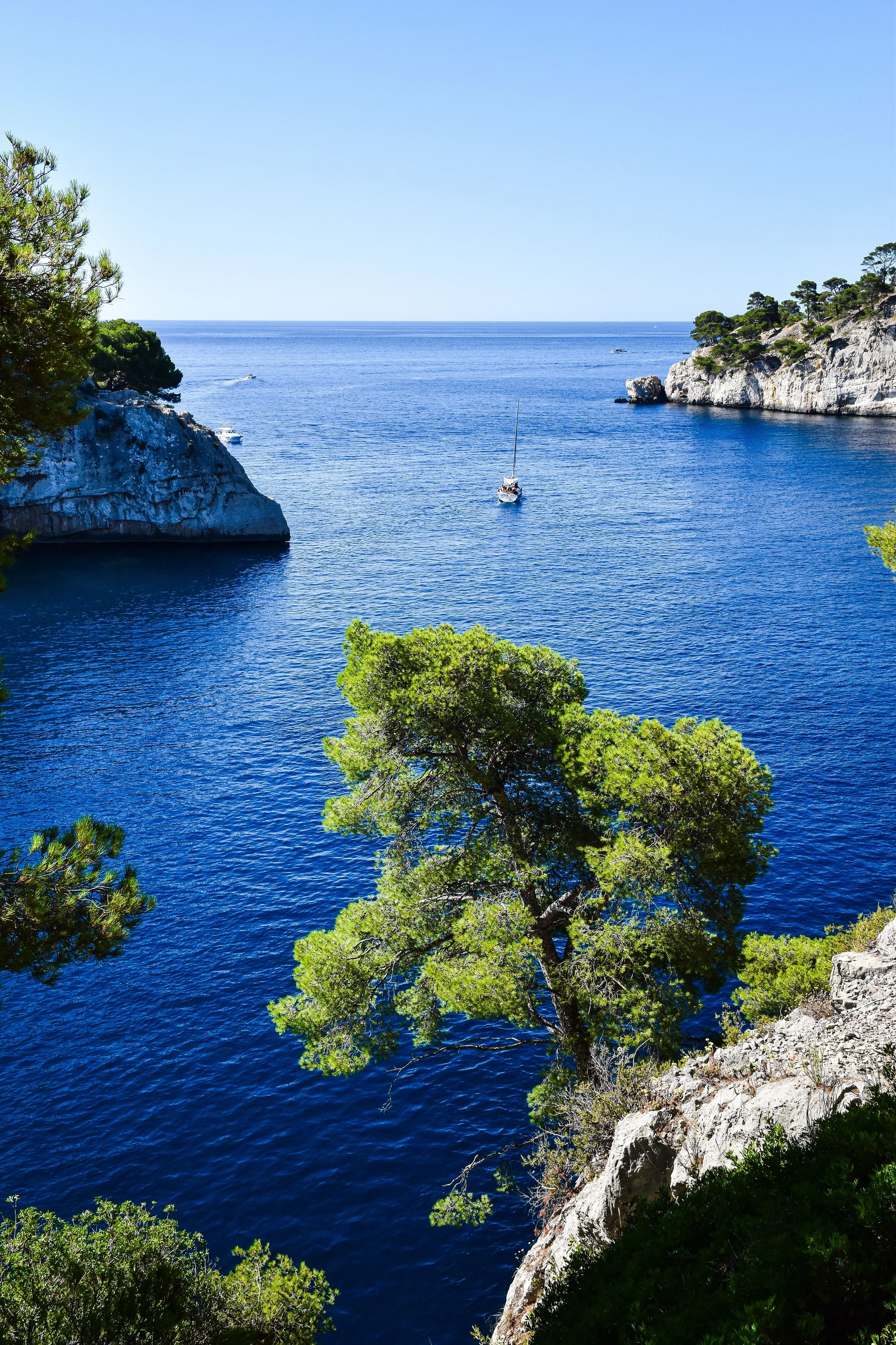 A coastal scene with blue water, rocky cliffs, and green trees, including pine trees, under a clear blue sky.