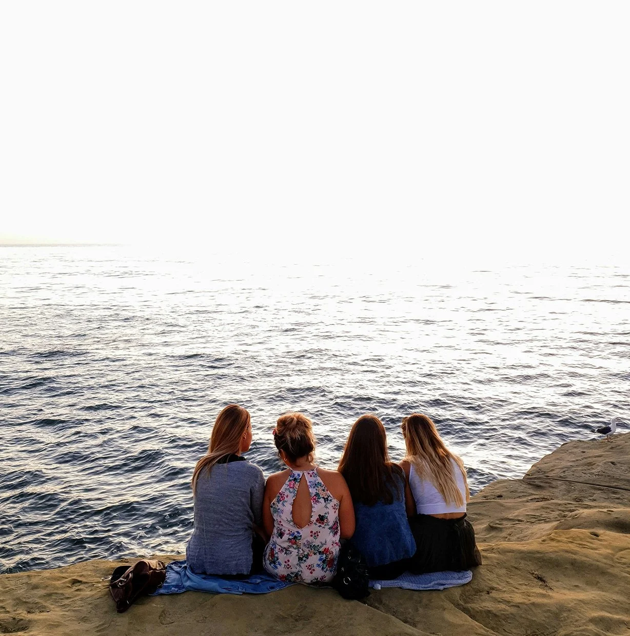 Four women sitting on a rocky shoreline, facing the ocean during sunset or sunrise, with calm water and seagull nearby.