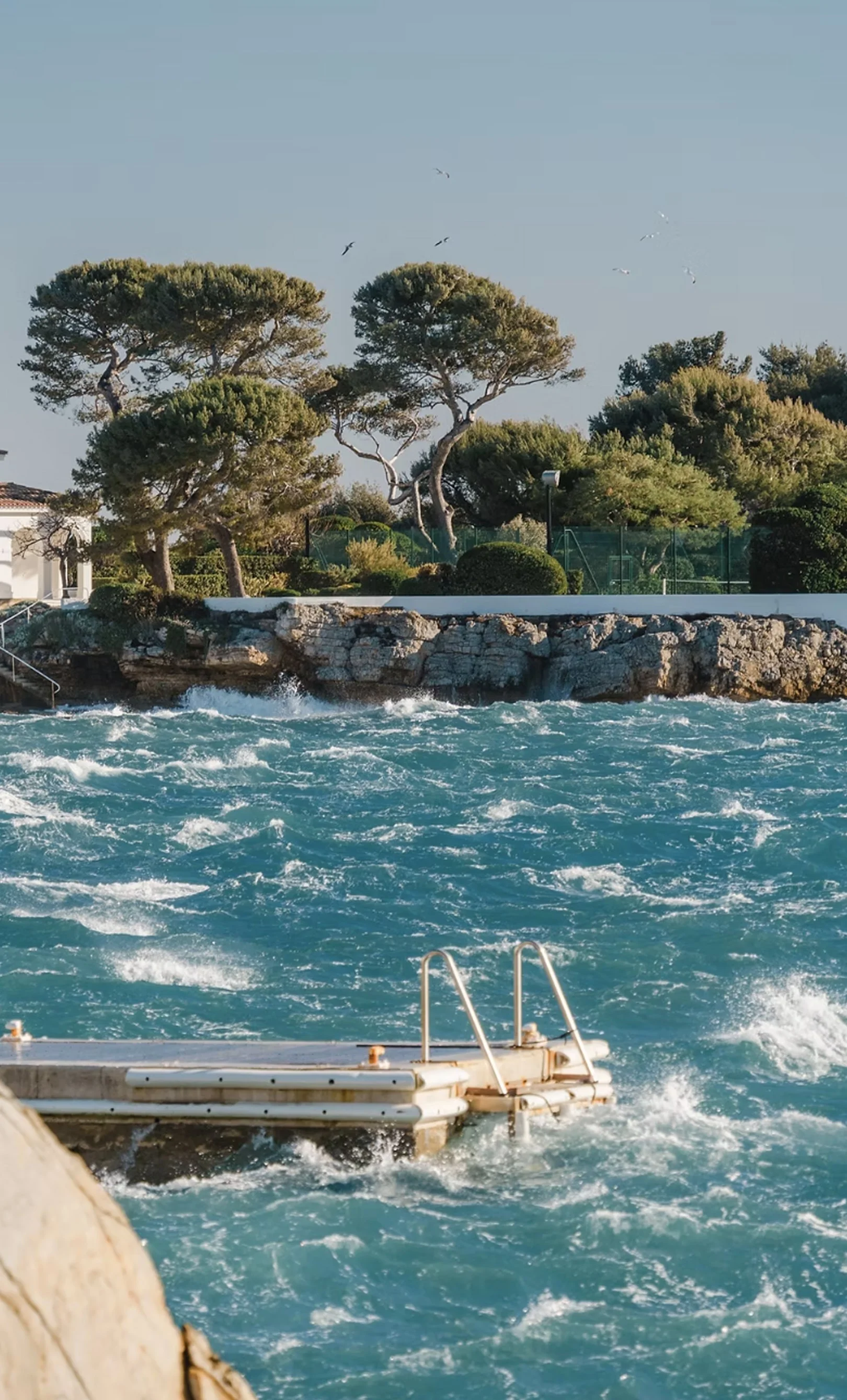 View of a blue sea with waves crashing against a rocky shore, and a floating dock with ladder in the foreground. In the background, a landscaped area with trees, shrubs, and a fence, along with birds flying in the sky.