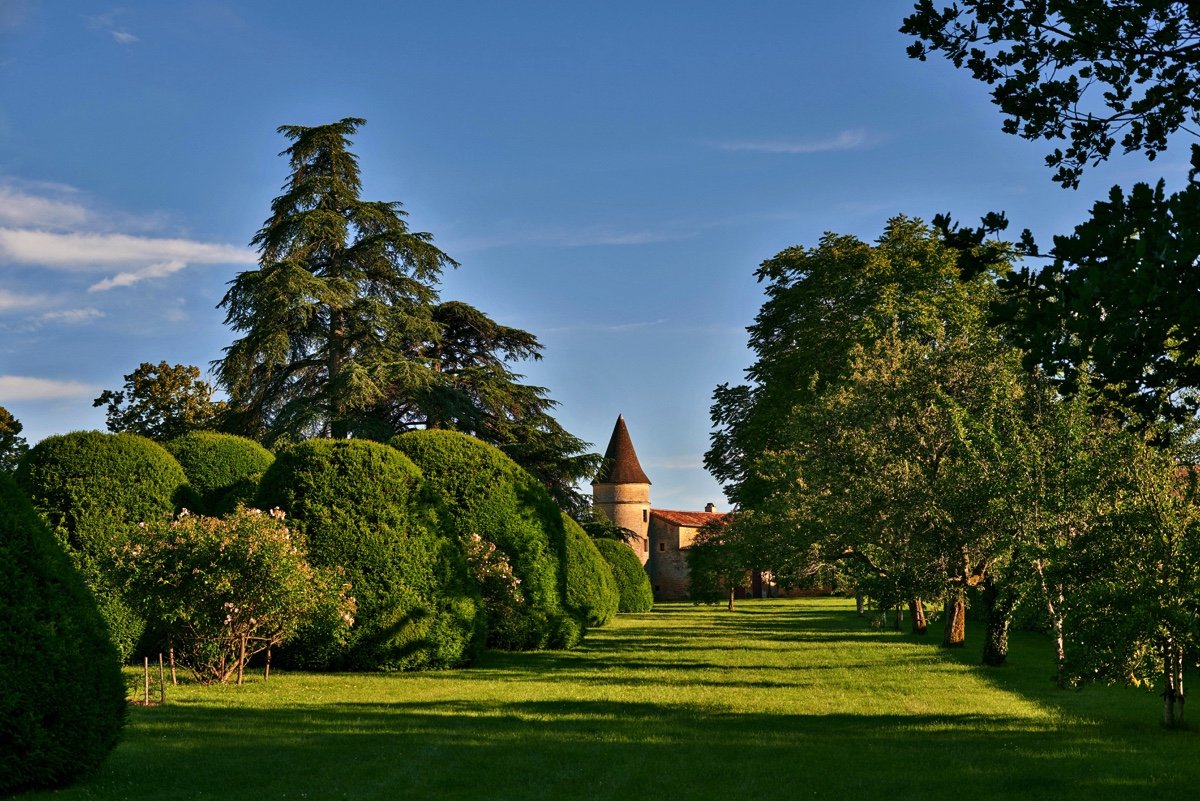 A lush green garden with trimmed bushes and trees leading to a castle with a tower, under a blue sky with some clouds.