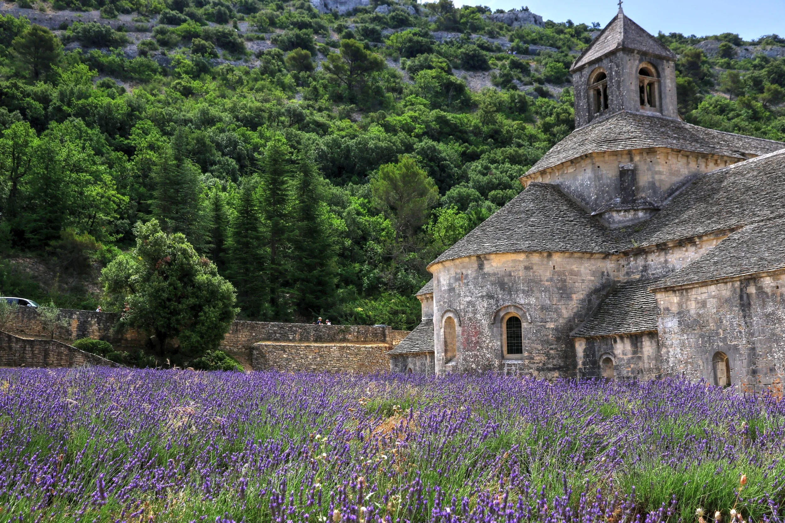 Stone church with a bell tower surrounded by a field of purple flowers and lush green trees on a hillside.