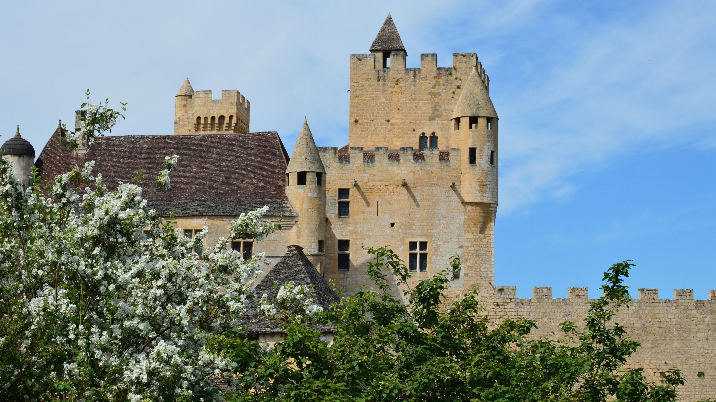 A historic stone castle with multiple towers and crenellated walls, partially obscured by trees with white blossoms, under a blue sky.