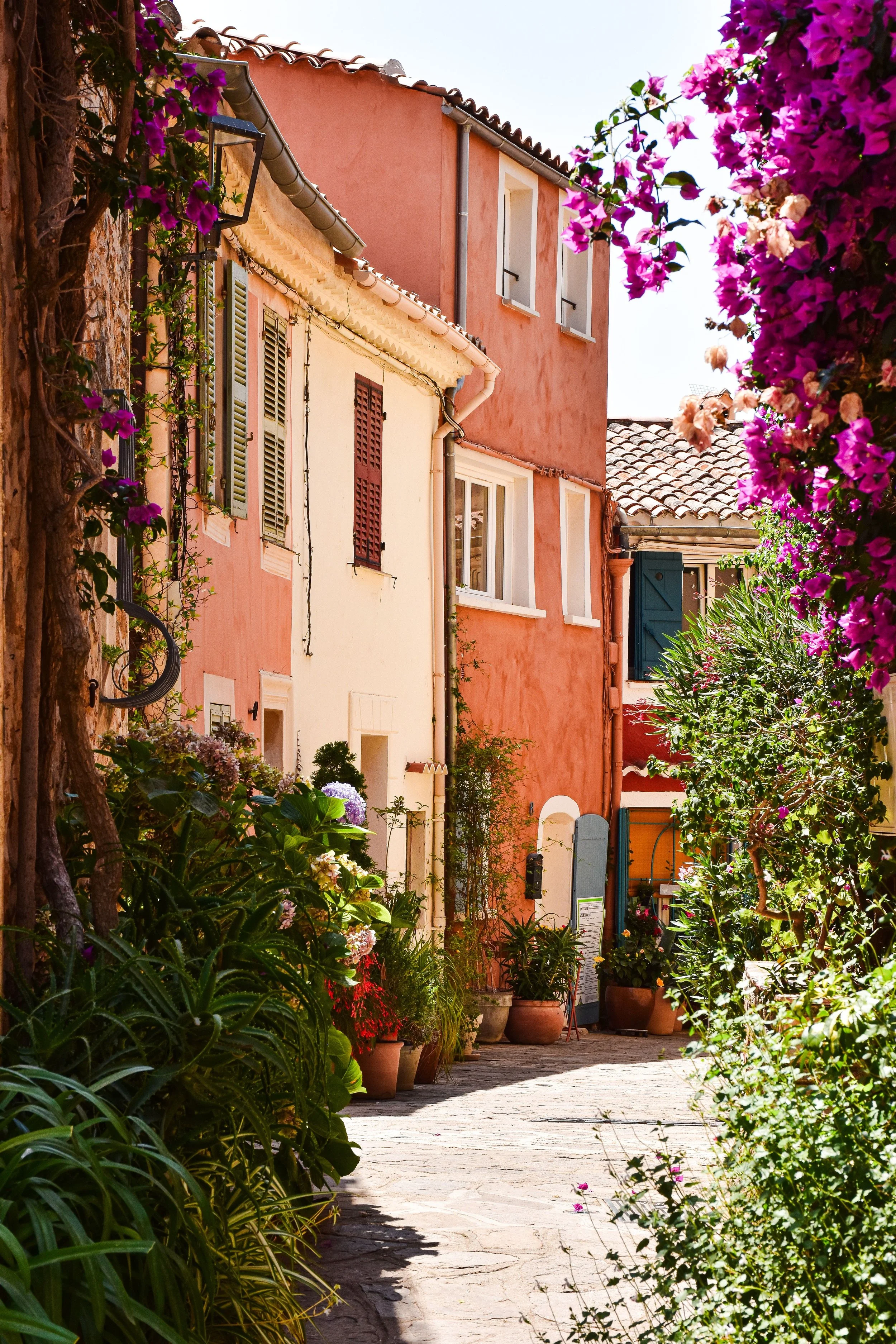 A narrow cobblestone street lined with potted plants and colorful pink and purple flowers on either side, with pastel-colored buildings featuring shutters and small balconies, and a bright sky overhead.