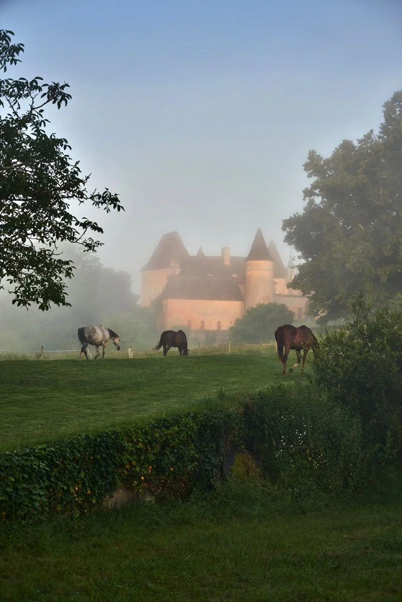 A misty landscape featuring a medieval castle with turrets in the background, green grass and trees in the foreground, and three horses grazing.