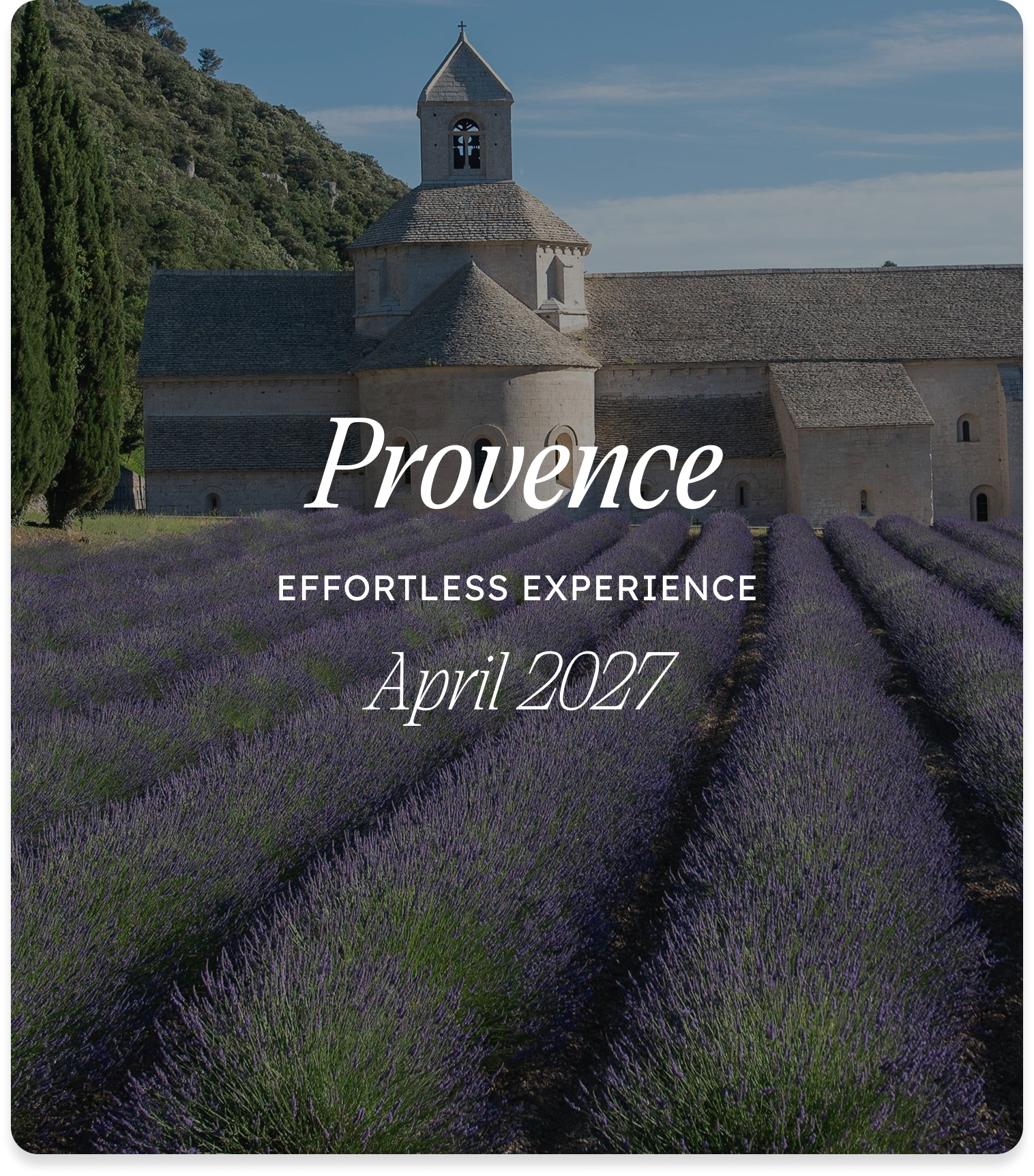 A stone church with a bell tower surrounded by rows of blooming lavender fields under a blue sky.