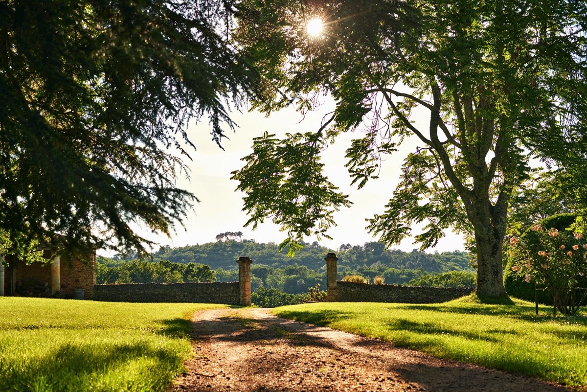 A scenic countryside with a dirt path leading through a green grassy area, large trees casting shadows, and a stone wall with gates, against a backdrop of rolling hills under the sunlight.