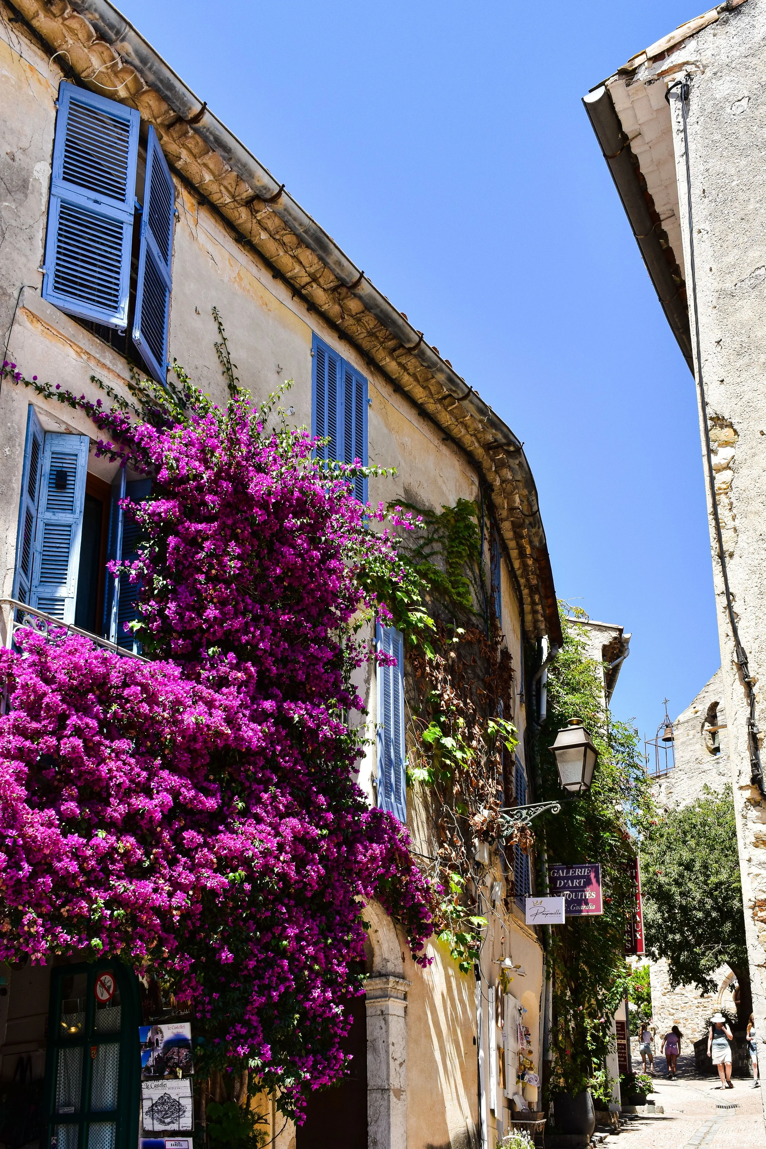 A narrow street in a European town with colorful buildings, bright pink flowers cascading from a window, and pedestrians walking under a tree-lined sky.