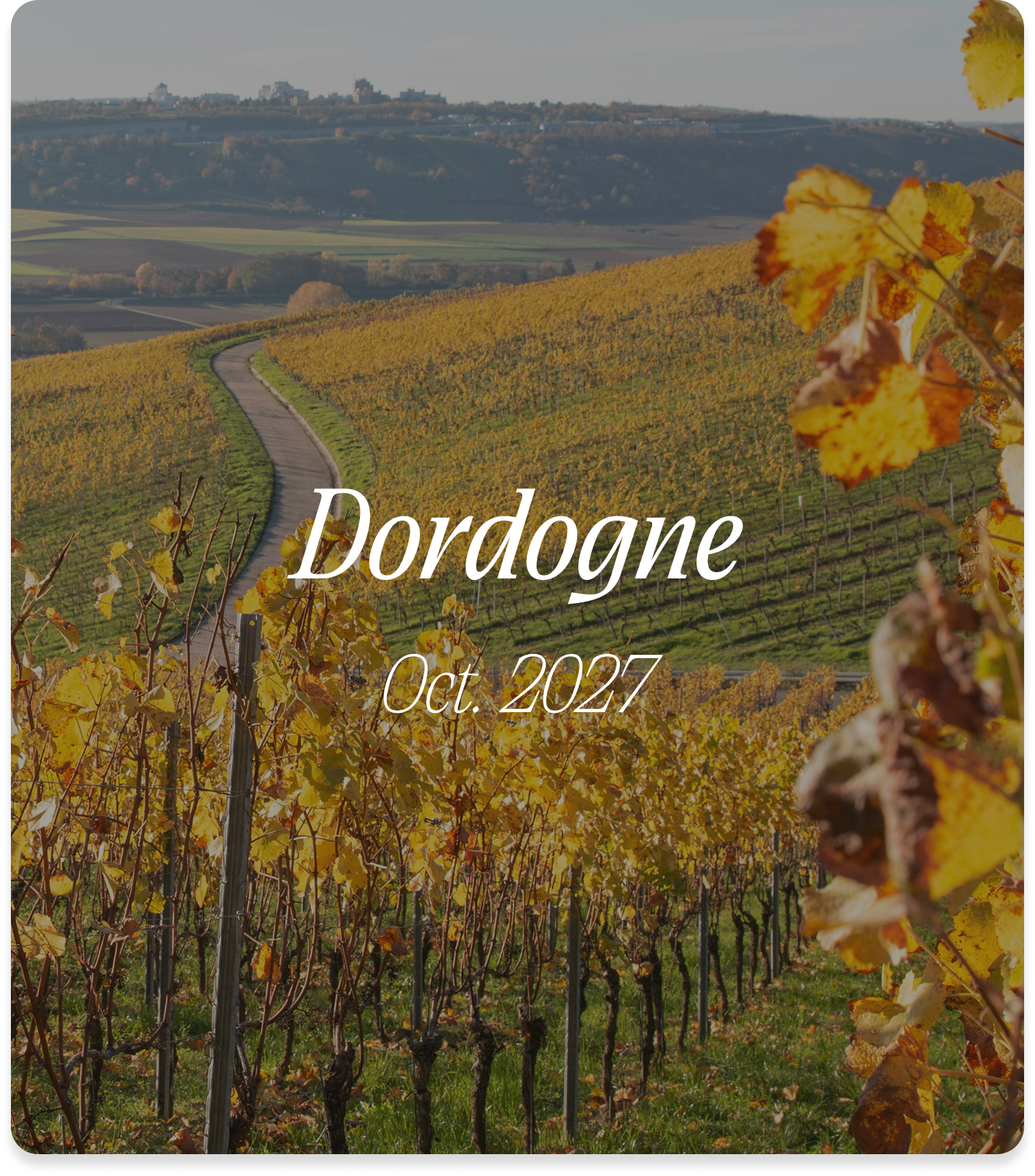 A vineyard with vine rows on a hillside in autumn, showing yellow and orange leaves, with a winding dirt road, distant hills, and a cityscape under a sky with light clouds, labeled 'Dordogne Oct. 2027'.