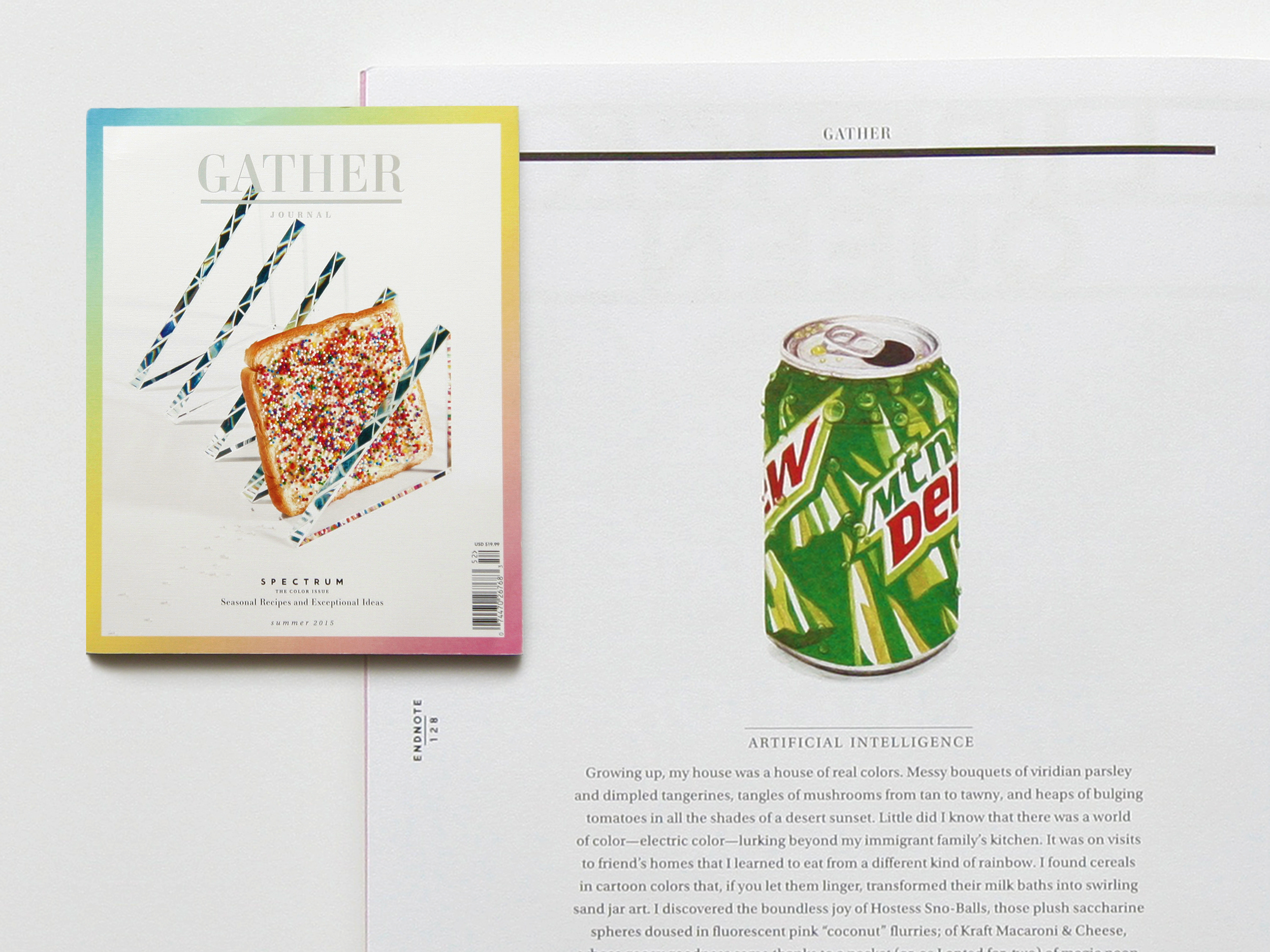 Sara Zin illustration for Gather Magazine